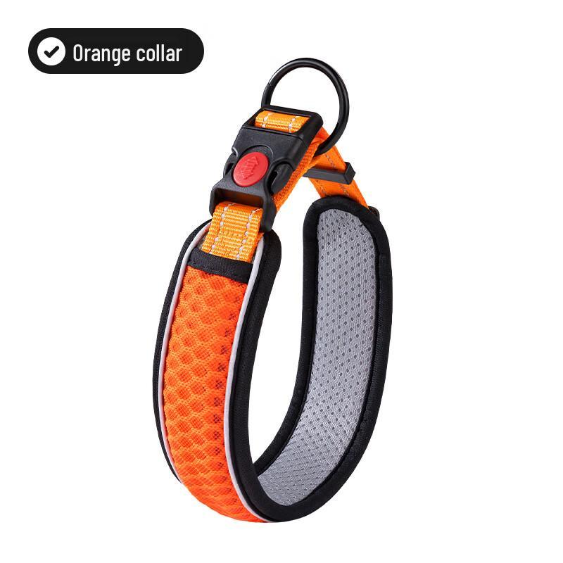 Qi o Pet Collar & Leash Collection
Qi o Pet Collar & Leash Collection