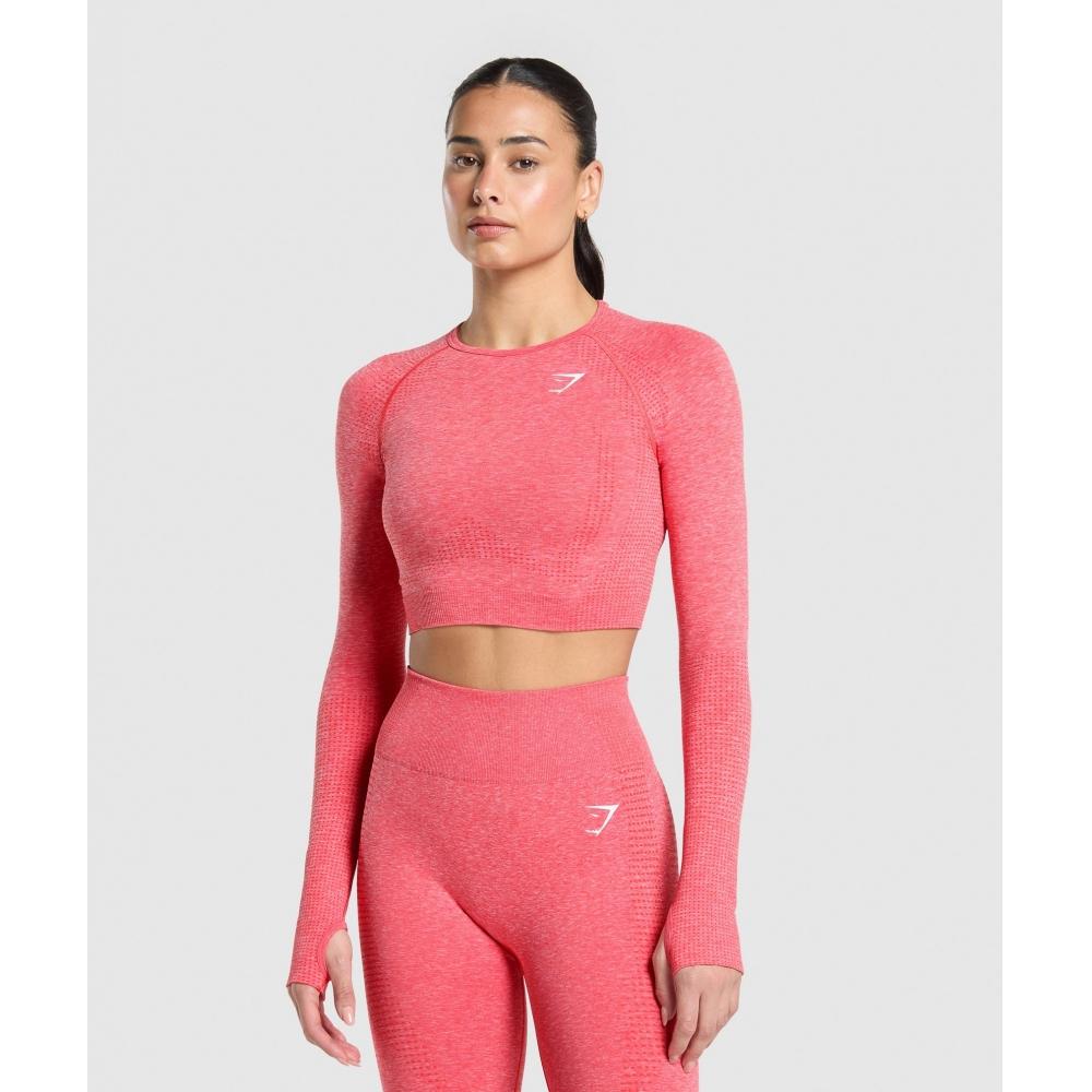 Gymshark Укороченный топ Vital Seamless 2.0 цвета кораллово-красный меланж B1a3d Rb0z XS
Gymshark Укороченный топ Vital Seamless 2.0 цвета кораллово-красный меланж B1a3d Rb0z XS