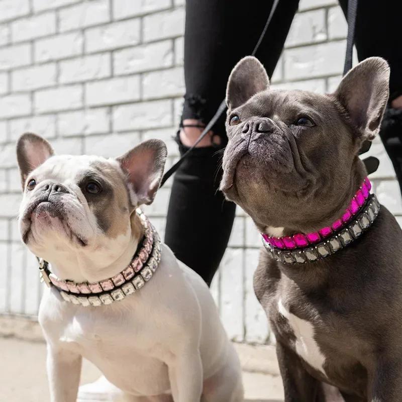 Rhinestones PU Leather Luxury Dog Collar Adjustable Pet Harness Collars Birthday Party Decorations for Small Dog Cat Accessories S(30X1.5CM) белый
Rhinestones PU Leather Luxury Dog Collar Adjustable Pet Harness Collars Birthday Party Decorations for Small Dog Cat Accessories S(30X1.5CM) белый