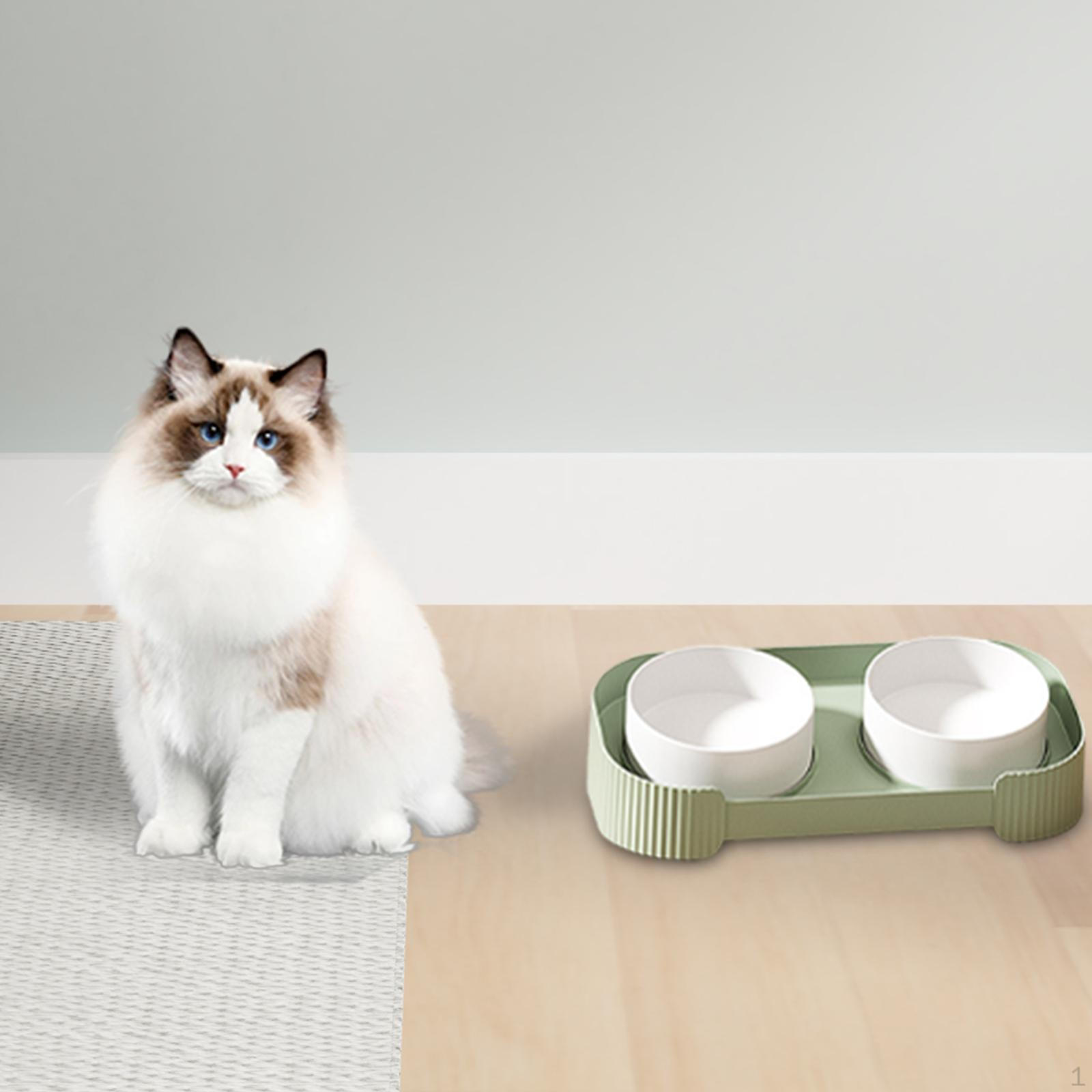Керамические миски для кормления кошек, набор для еды и воды, повышенный дизайн для кошек и щенков зелёный
Керамические миски для кормления кошек, набор для еды и воды, повышенный дизайн для кошек и щенков зелёный
