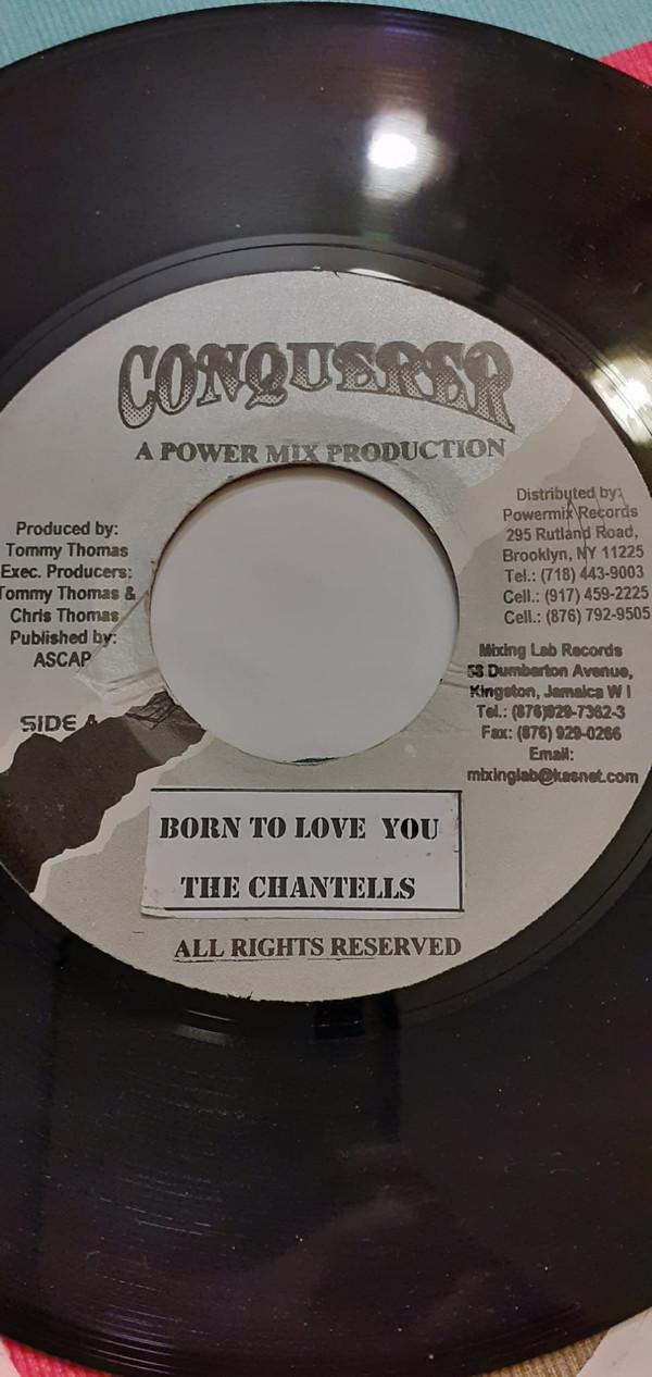 7inch Record CHANTELLS Born To Love You none Conquerer Jamaica Reggae Ska Dub Used
7inch Record CHANTELLS Born To Love You none Conquerer Jamaica Reggae Ska Dub Used