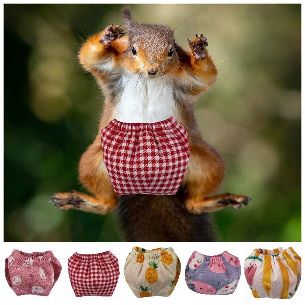 Absorbent Pet Training Pants Flexible Closure Small Pet Diapers For Guinea Pigs, Squirrels Rabbit - S
Absorbent Pet Training Pants Flexible Closure Small Pet Diapers For Guinea Pigs, Squirrels Rabbit - S