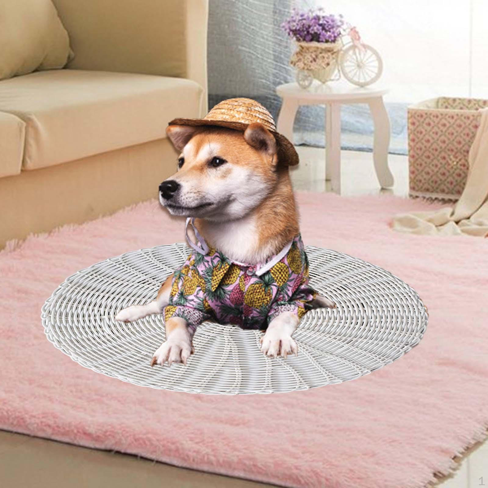 Boho Round Handwoven Tatami Mat Wear Resistant Placemats Floor Reusable Pillow Seat білий
Boho Round Handwoven Tatami Mat Wear Resistant Placemats Floor Reusable Pillow Seat білий