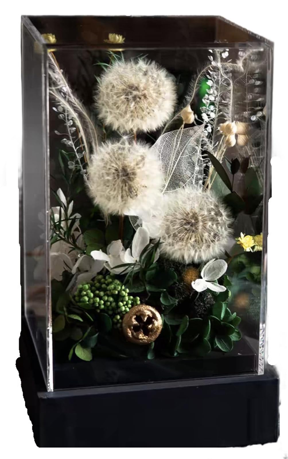 Preserved Flowers Everlasting Dandelions Dried Flowers with LED Light and Acrylic Cover Flowers That Never Wilt Gift Bag Included Stylish Perfect for
Preserved Flowers Everlasting Dandelions Dried Flowers with LED Light and Acrylic Cover Flowers That Never Wilt Gift Bag Included Stylish Perfect for