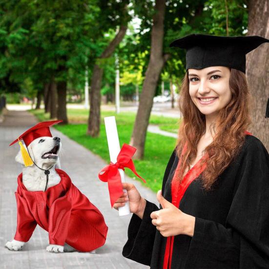 2025 Dog Graduation Costume Set Pet Graduation Cap with Tassel And Washable Gown Set for Dogs Cats Holiday Halloween Party Accessory S рожевий
2025 Dog Graduation Costume Set Pet Graduation Cap with Tassel And Washable Gown Set for Dogs Cats Holiday Halloween Party Accessory S рожевий
