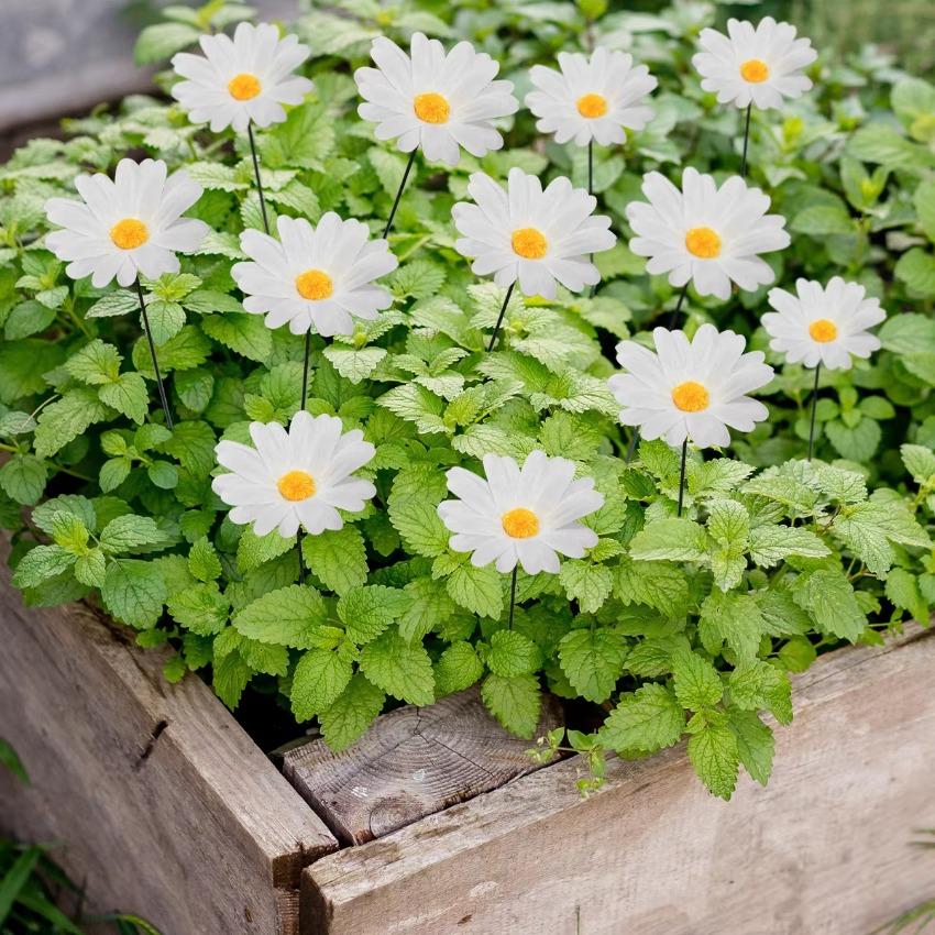10 Pcs Simulation Sunflower Flower Insertion Landscape Courtyard Villa Spring Outdoor Colorful Garden Decoration Patio
10 Pcs Simulation Sunflower Flower Insertion Landscape Courtyard Villa Spring Outdoor Colorful Garden Decoration Patio