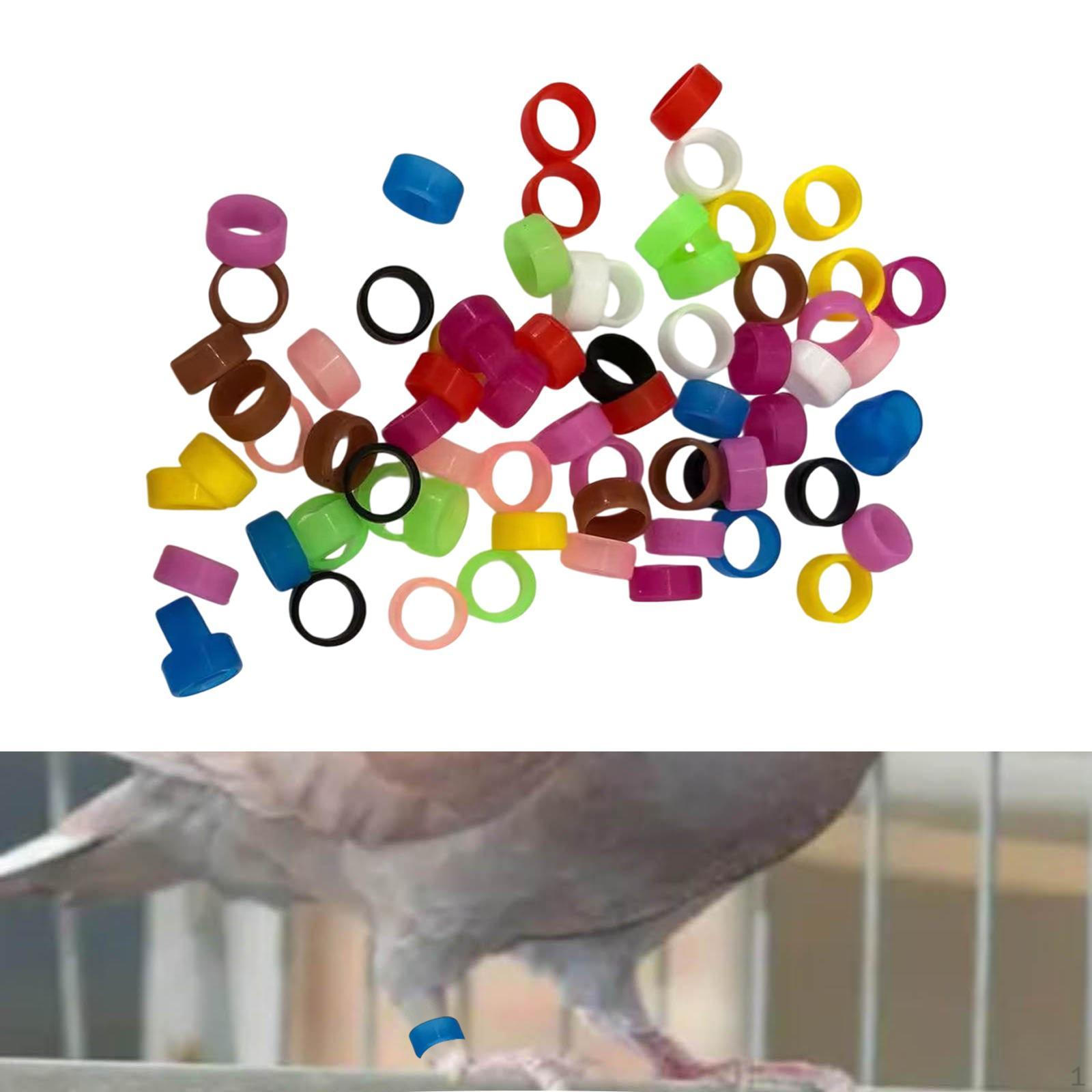 Кольца для ног птиц, повязки для ног, разноцветные маркеры для мягких силиконовых перепелов style A
Кольца для ног птиц, повязки для ног, разноцветные маркеры для мягких силиконовых перепелов style A