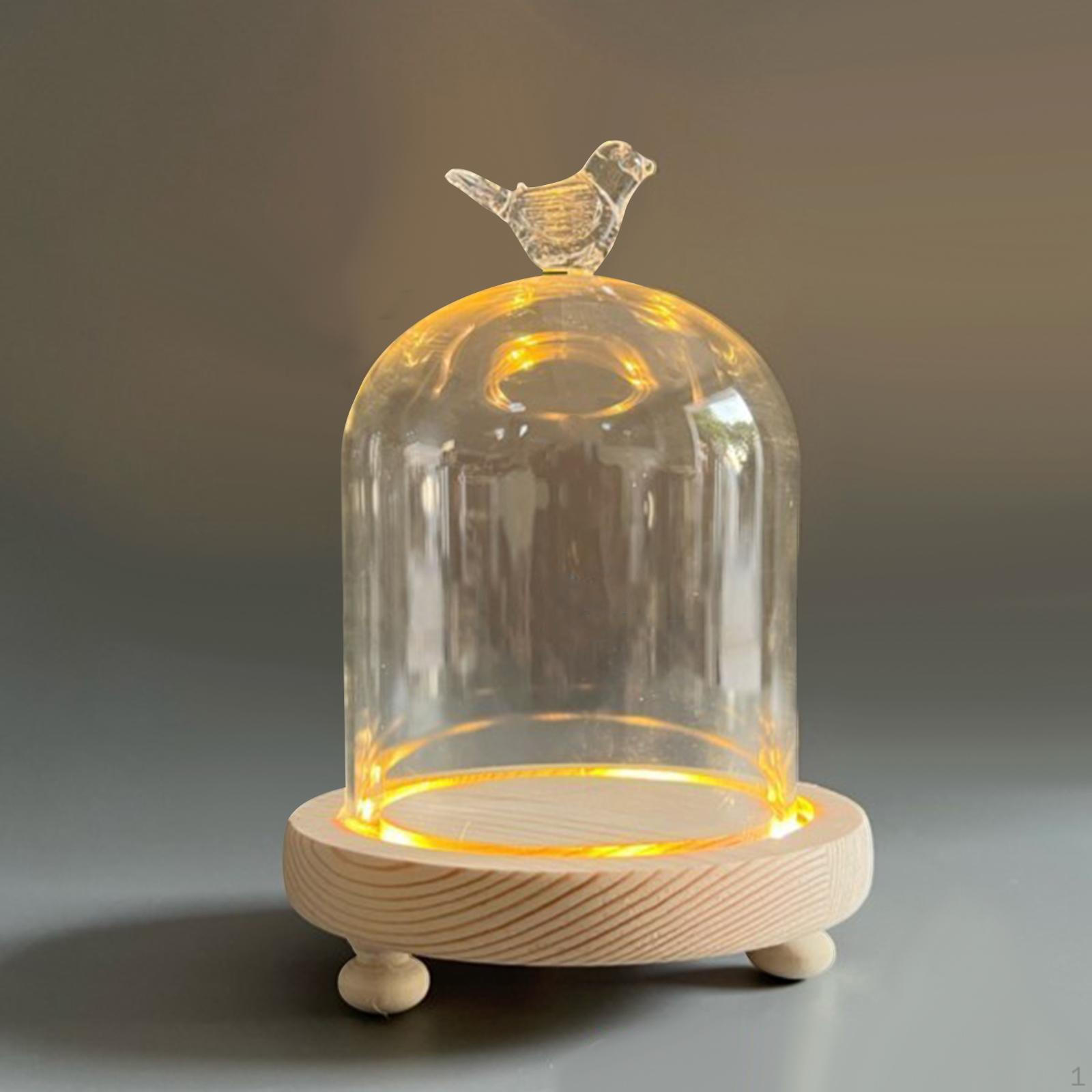 Clear Glass Cloche Dome Bell Jar Centerpieces Container Valentine s Day Flowers Cover Party 9x11cm Bird
Clear Glass Cloche Dome Bell Jar Centerpieces Container Valentine s Day Flowers Cover Party 9x11cm Bird