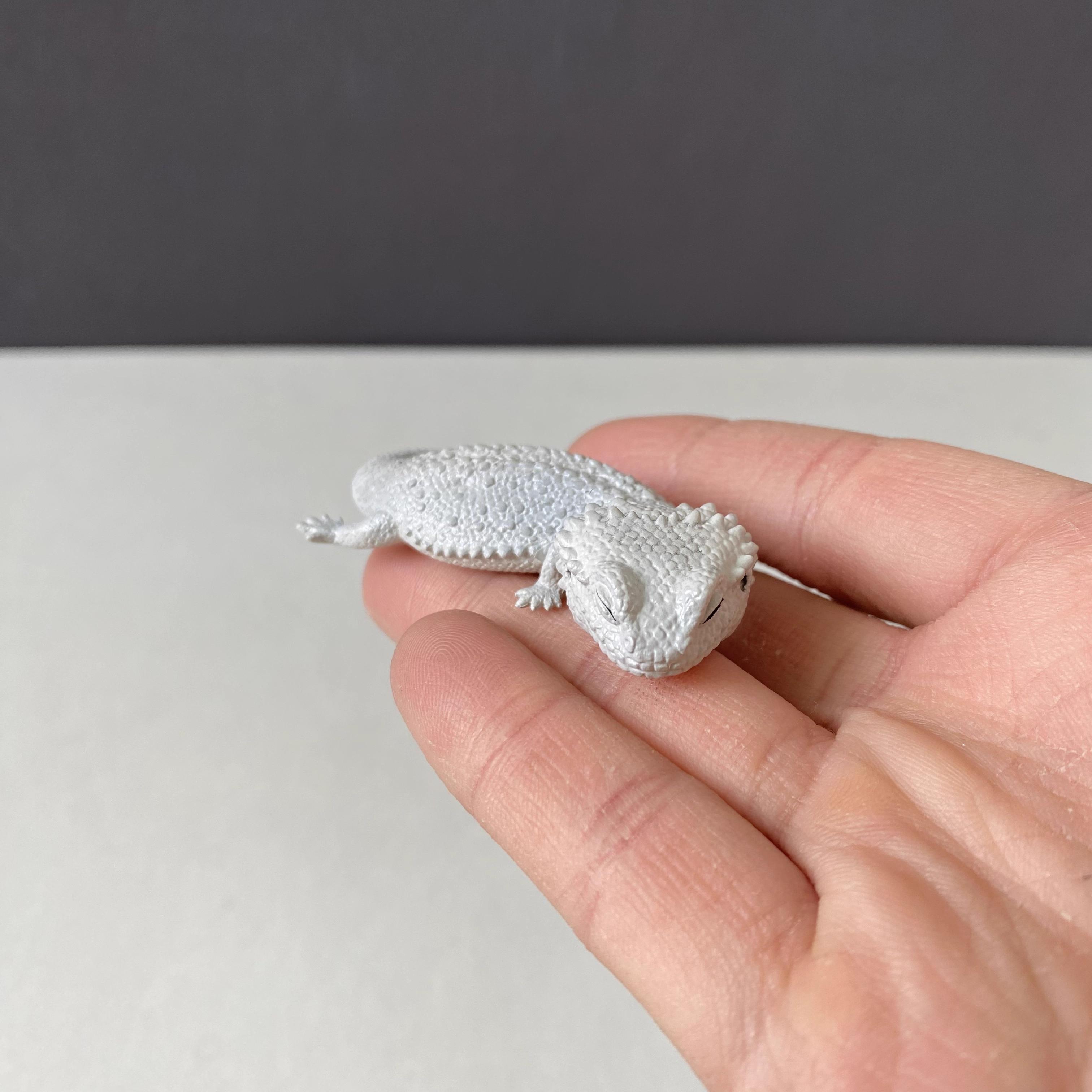 Official Qualia Sleepy Leopard Gecko Fat Tail Gecko Reptile Pet Gecko Lizard Chameleon Model Toy
Official Qualia Sleepy Leopard Gecko Fat Tail Gecko Reptile Pet Gecko Lizard Chameleon Model Toy