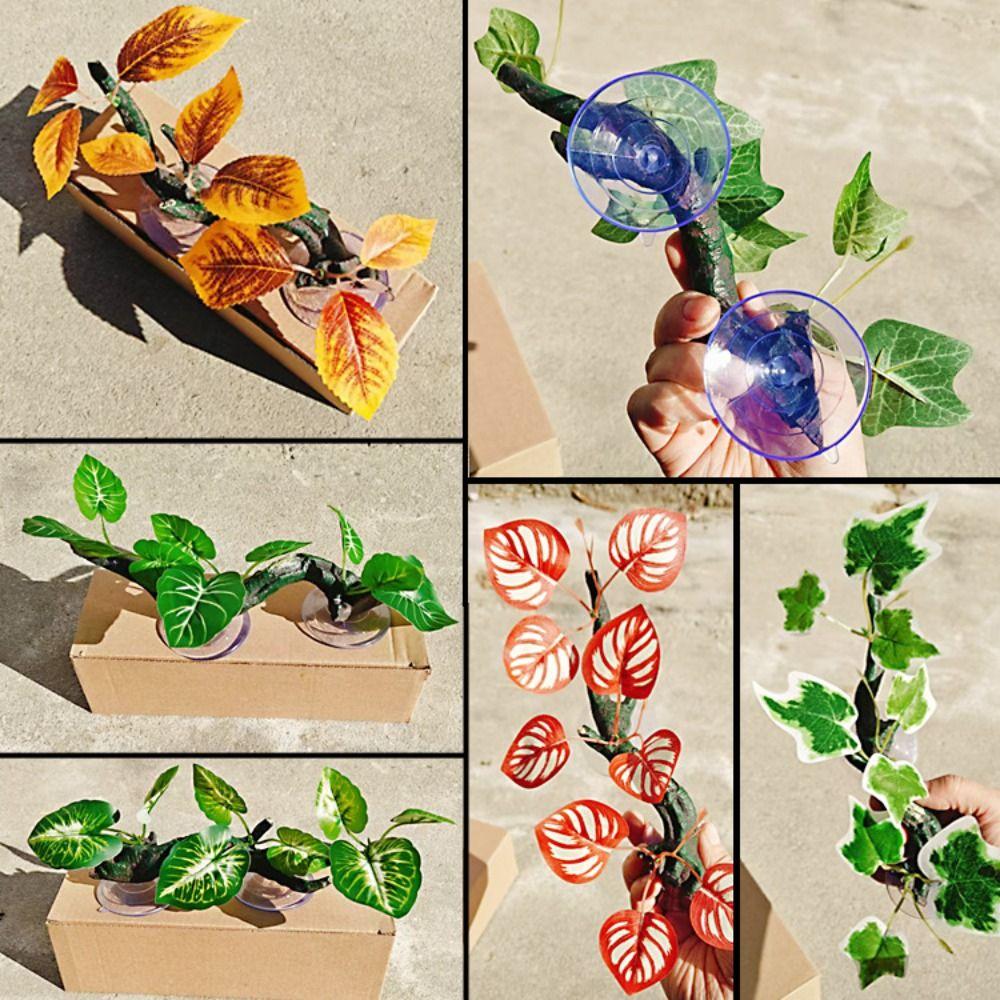 Resin Reptile Climb Tree Branch High Temperature Resistance Terrarium Plant Decoration Amphibian Style 3
Resin Reptile Climb Tree Branch High Temperature Resistance Terrarium Plant Decoration Amphibian Style 3