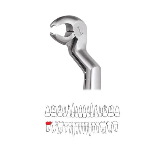 GDC Extraction Forceps Lower Molar And Wisdom Left-22 1/2l Premium (FX221/2LP)
GDC Extraction Forceps Lower Molar And Wisdom Left-22 1/2l Premium (FX221/2LP)