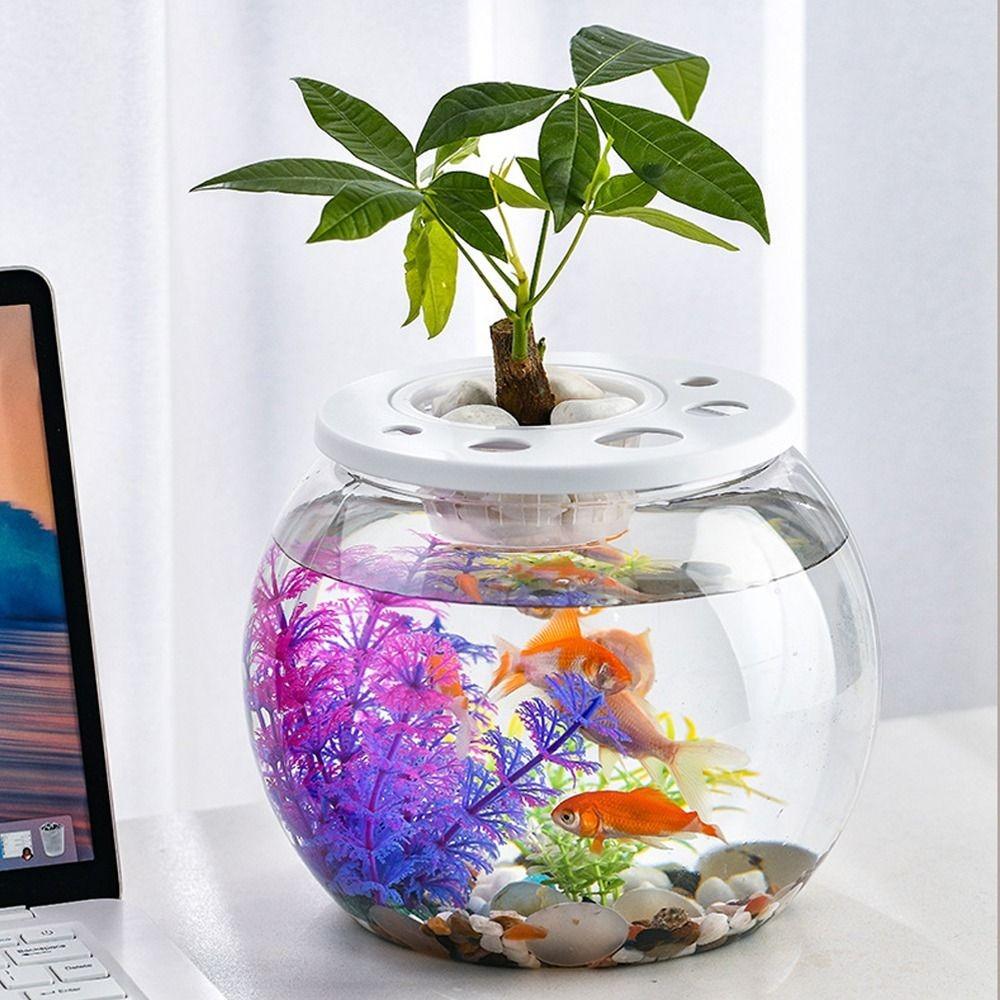 Transparent Small Clear Fish Tank Shatterproof Turtle Terrarium Turtle Aquarium Office Decor Style 2
Transparent Small Clear Fish Tank Shatterproof Turtle Terrarium Turtle Aquarium Office Decor Style 2