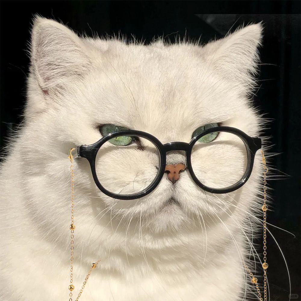 2 Set With Chain Round Reflection Glasses Fashion Pet Eyewears Multiuse Pet Sunglasses Pet Supplies Style 4
2 Set With Chain Round Reflection Glasses Fashion Pet Eyewears Multiuse Pet Sunglasses Pet Supplies Style 4