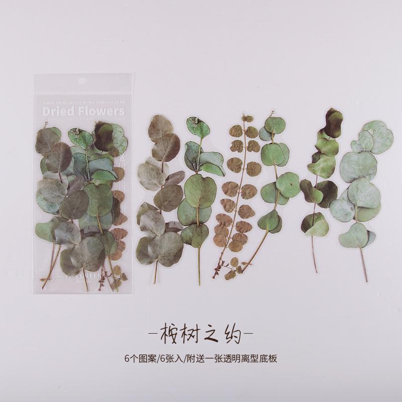 40Pcs/Bag Plant Flower Series Decorative Diary Sticker Scrapbook Planner Decorative Stationery Sticker
40Pcs/Bag Plant Flower Series Decorative Diary Sticker Scrapbook Planner Decorative Stationery Sticker