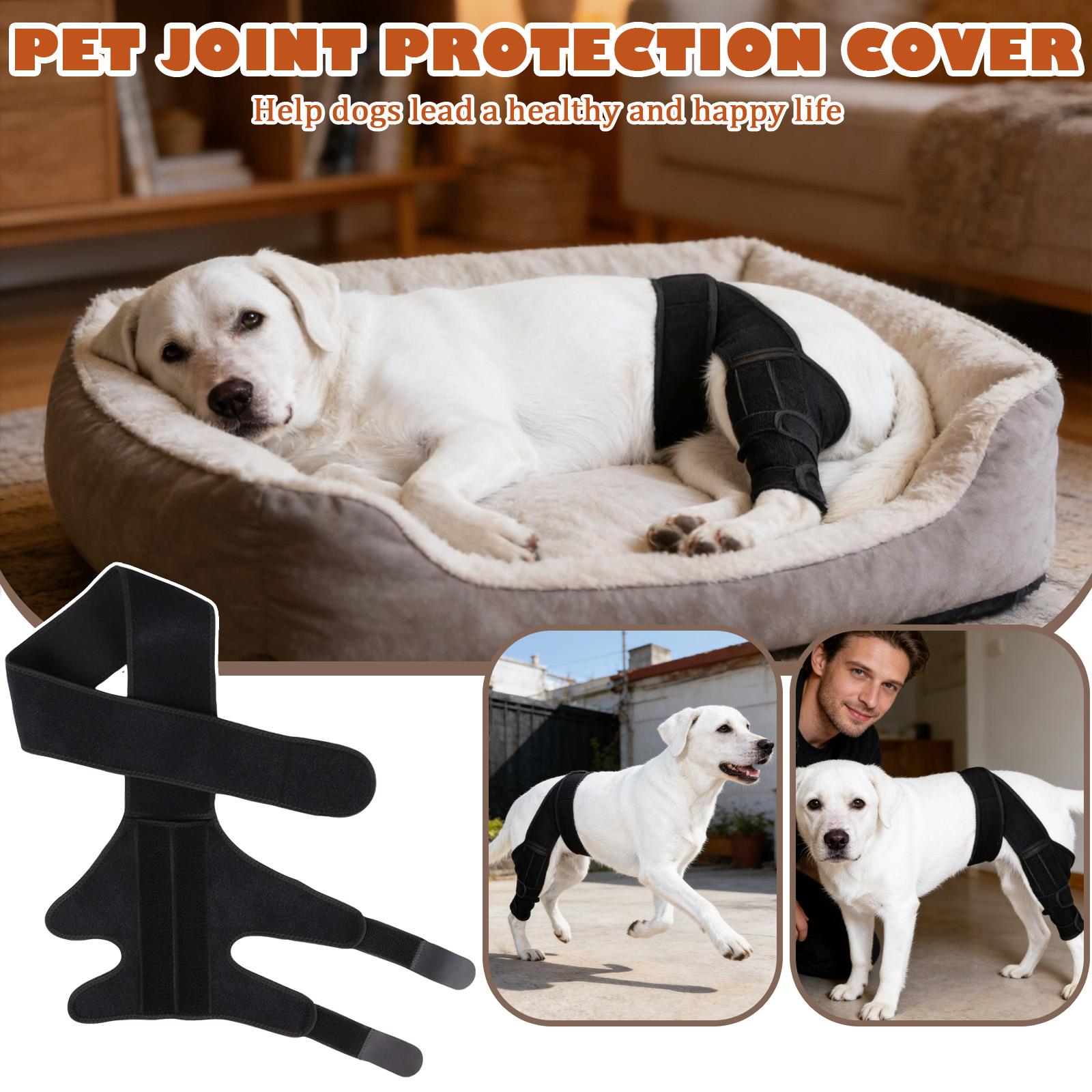 Adjustable Pet Joint Support Brace Wrap for Front Leg Stability and Protection Suitable for Dogs and Cats with Secure Fastening Strap Design L чёрный
Adjustable Pet Joint Support Brace Wrap for Front Leg Stability and Protection Suitable for Dogs and Cats with Secure Fastening Strap Design L чёрный