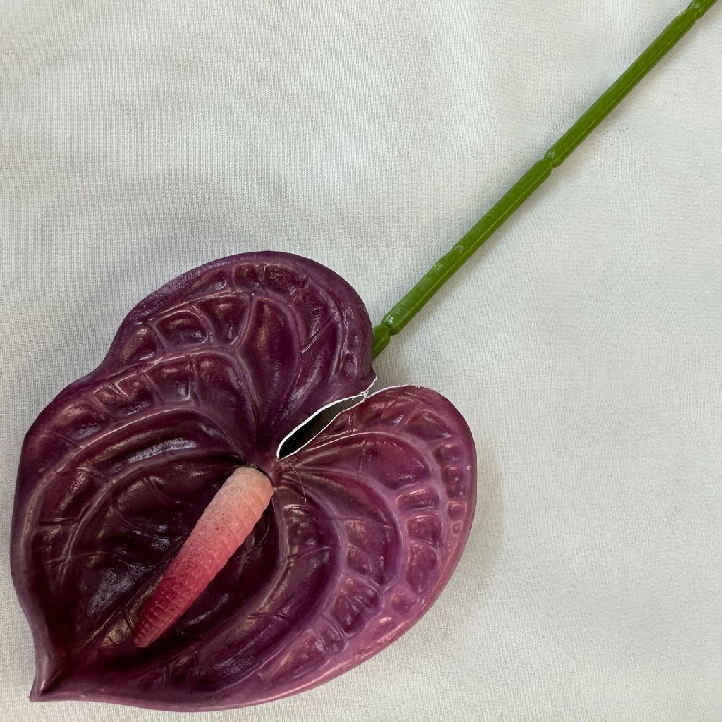 Anthurium Linden Andraeanum Mini Flower Diy Home Decoration Props Event Deep Purple
Anthurium Linden Andraeanum Mini Flower Diy Home Decoration Props Event Deep Purple