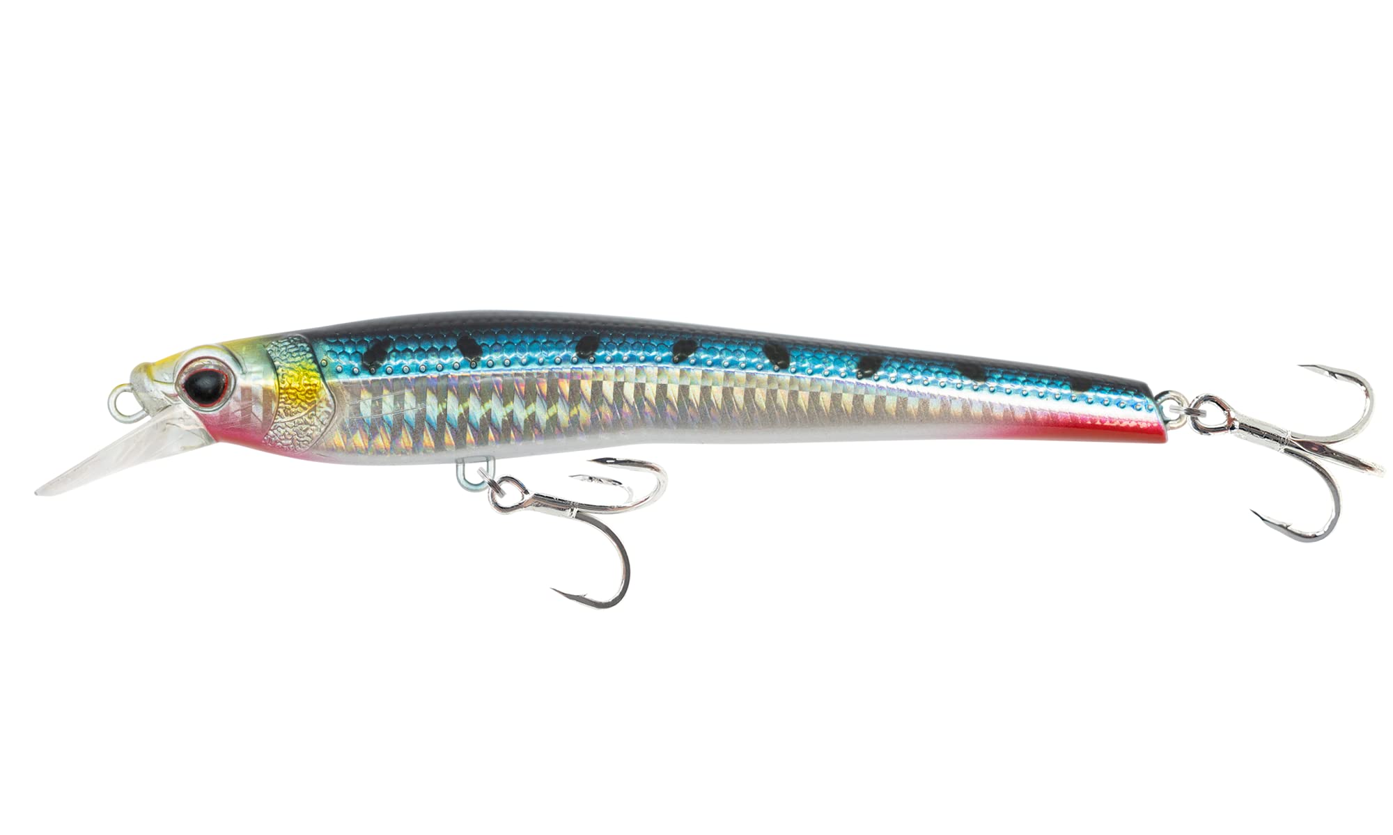 Nomad Design Shikari Fishing Premium Jerkbait for Inshore Saltwater Species like Sea and 145 SUS FR oz Sardines Lure, Long-Casting Shallow-Diving
Nomad Design Shikari Fishing Premium Jerkbait for Inshore Saltwater Species like Sea and 145 SUS FR oz Sardines Lure, Long-Casting Shallow-Diving