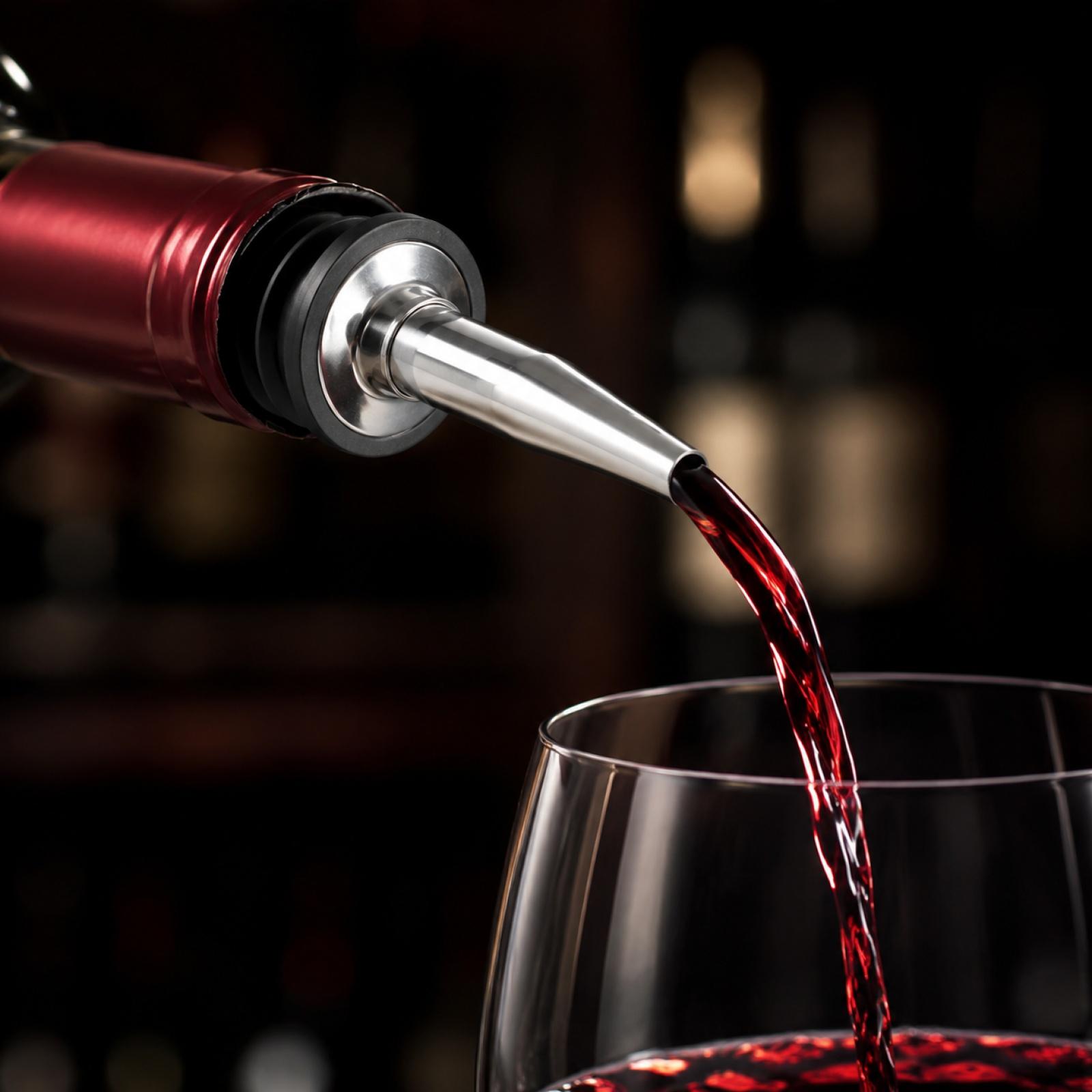 Stainless Steel Liquor Pourer with Rubber Stopper Wine Bottle Spout Pouring Nozzle for Bar Kitchen Use One Size чёрный
Stainless Steel Liquor Pourer with Rubber Stopper Wine Bottle Spout Pouring Nozzle for Bar Kitchen Use One Size чёрный