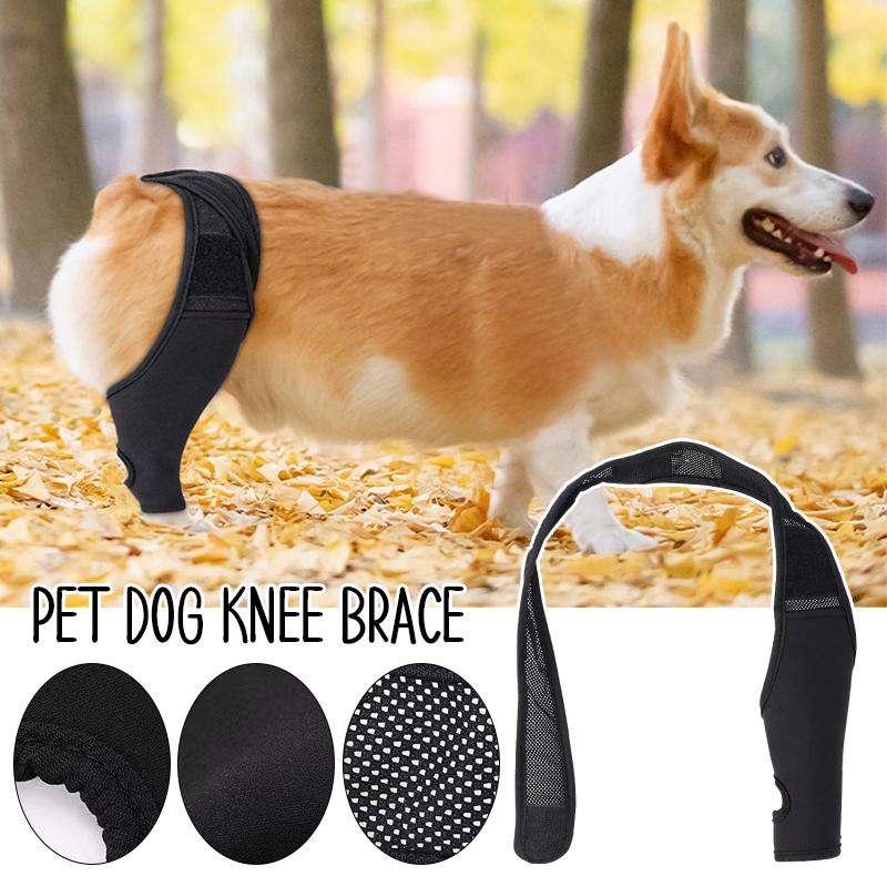 Dog Knee Brace for Torn Acl Hind Leg - Dog Knee Brace Promotes Faster Recovery Longer Straps for An Anti-Slip Comfort Fit S
Dog Knee Brace for Torn Acl Hind Leg - Dog Knee Brace Promotes Faster Recovery Longer Straps for An Anti-Slip Comfort Fit S