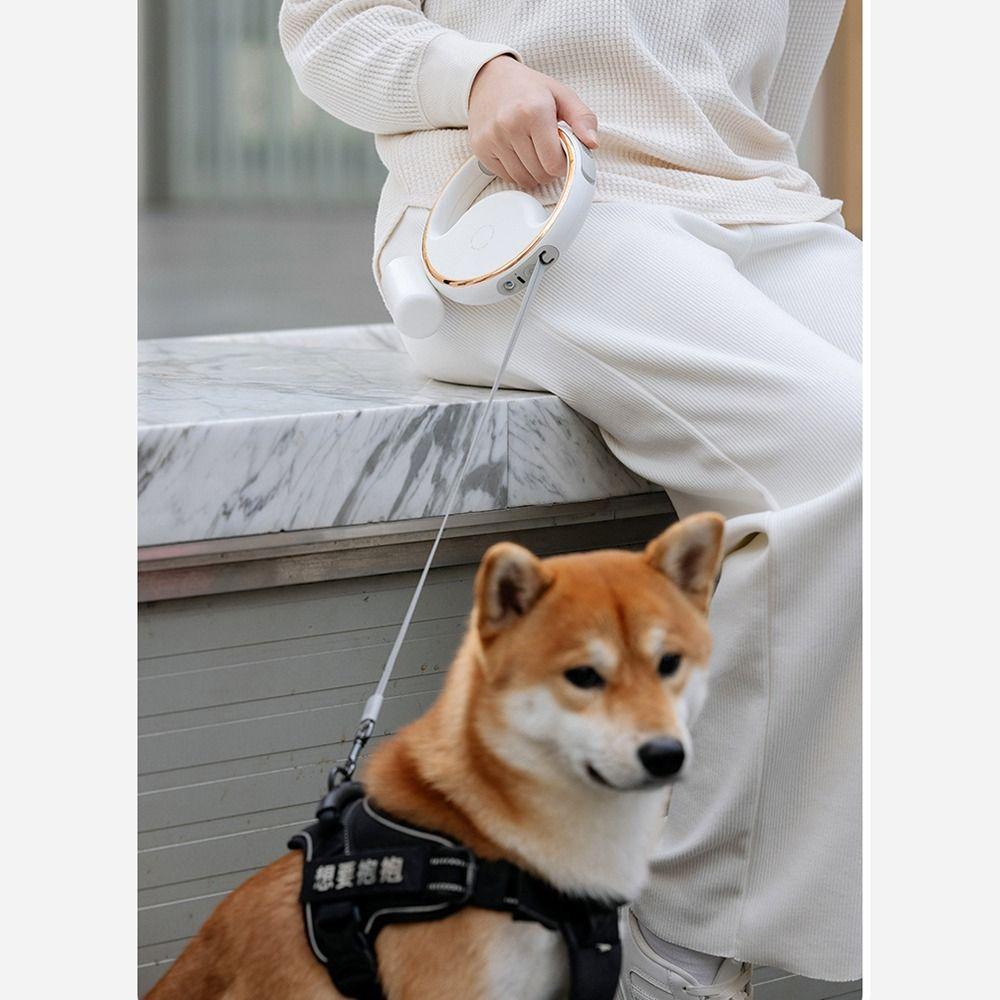 Collar Anti Slip Handle Lead Strap Retractable Dog Leash Traction Rope Flexible Dog Lead Leash
Collar Anti Slip Handle Lead Strap Retractable Dog Leash Traction Rope Flexible Dog Lead Leash