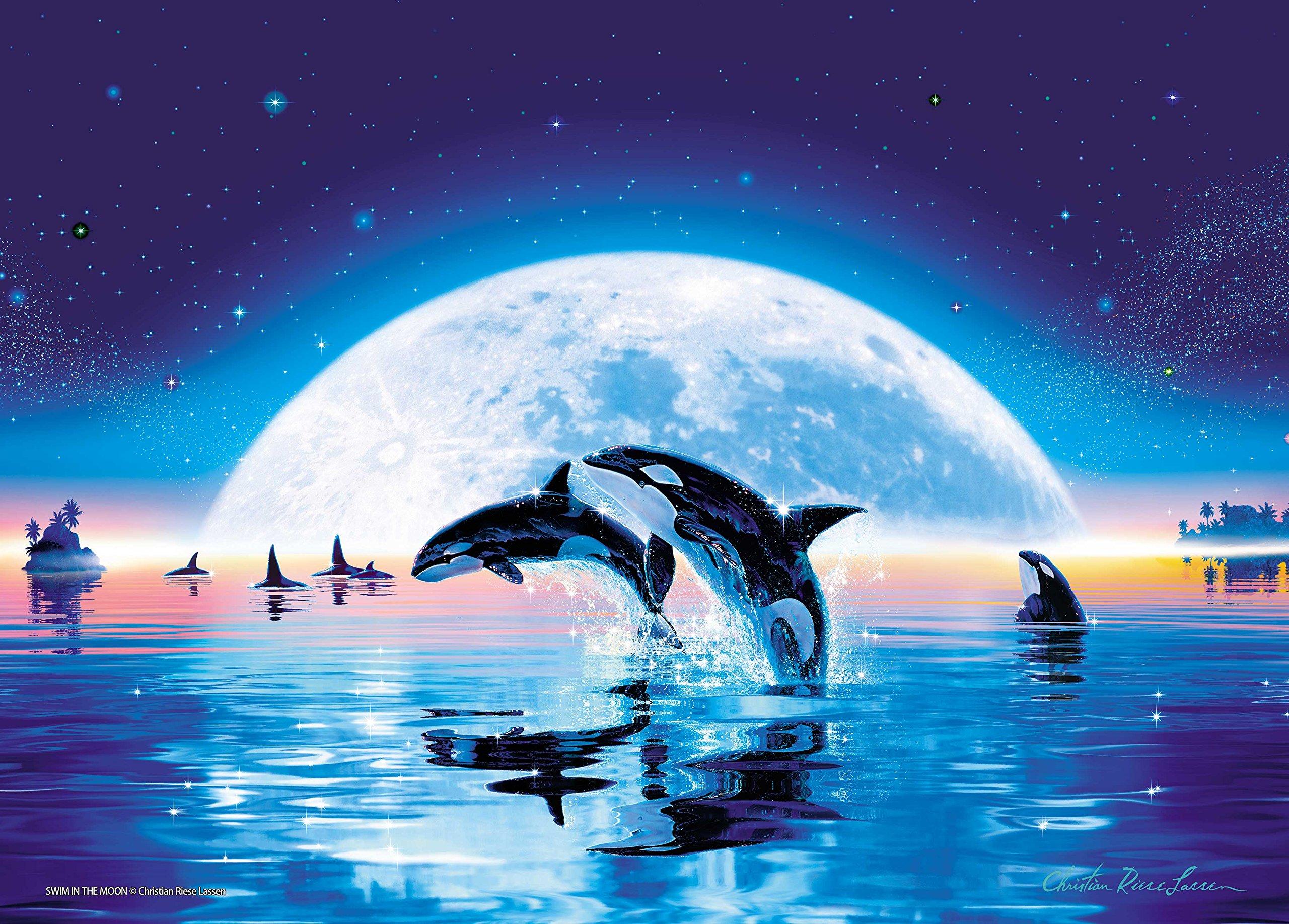 500 Piece Glowing Jigsaw Puzzle Puzzle Master Lassen Swim in the Moon Aim! (38x53cm)
500 Piece Glowing Jigsaw Puzzle Puzzle Master Lassen Swim in the Moon Aim! (38x53cm)