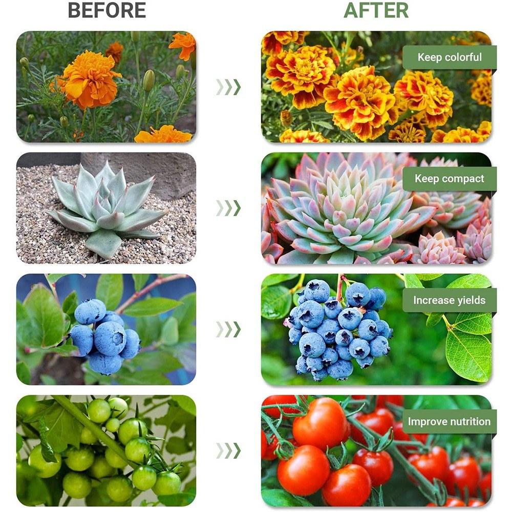 3-Head Grow Light 60 LED Light Bulb Plant Growing Lamps with Adjustable Arm Auto ON/Off Intelligent Timing 10 Levels Brightness for Indoor Plants Type A
3-Head Grow Light 60 LED Light Bulb Plant Growing Lamps with Adjustable Arm Auto ON/Off Intelligent Timing 10 Levels Brightness for Indoor Plants Type A