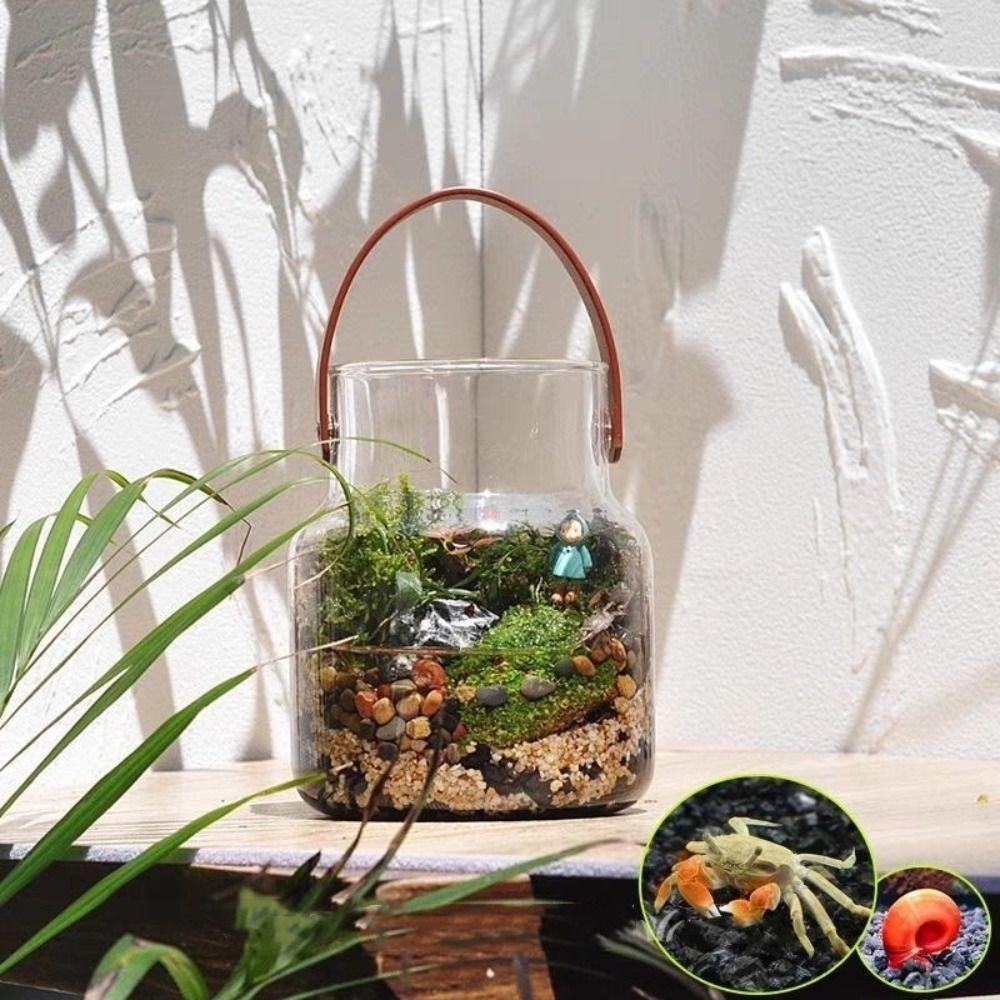 Creative Glass Landscape Bottle Leather Hydroponic Flower Holder Home Decor Flower Vase Office S
Creative Glass Landscape Bottle Leather Hydroponic Flower Holder Home Decor Flower Vase Office S
