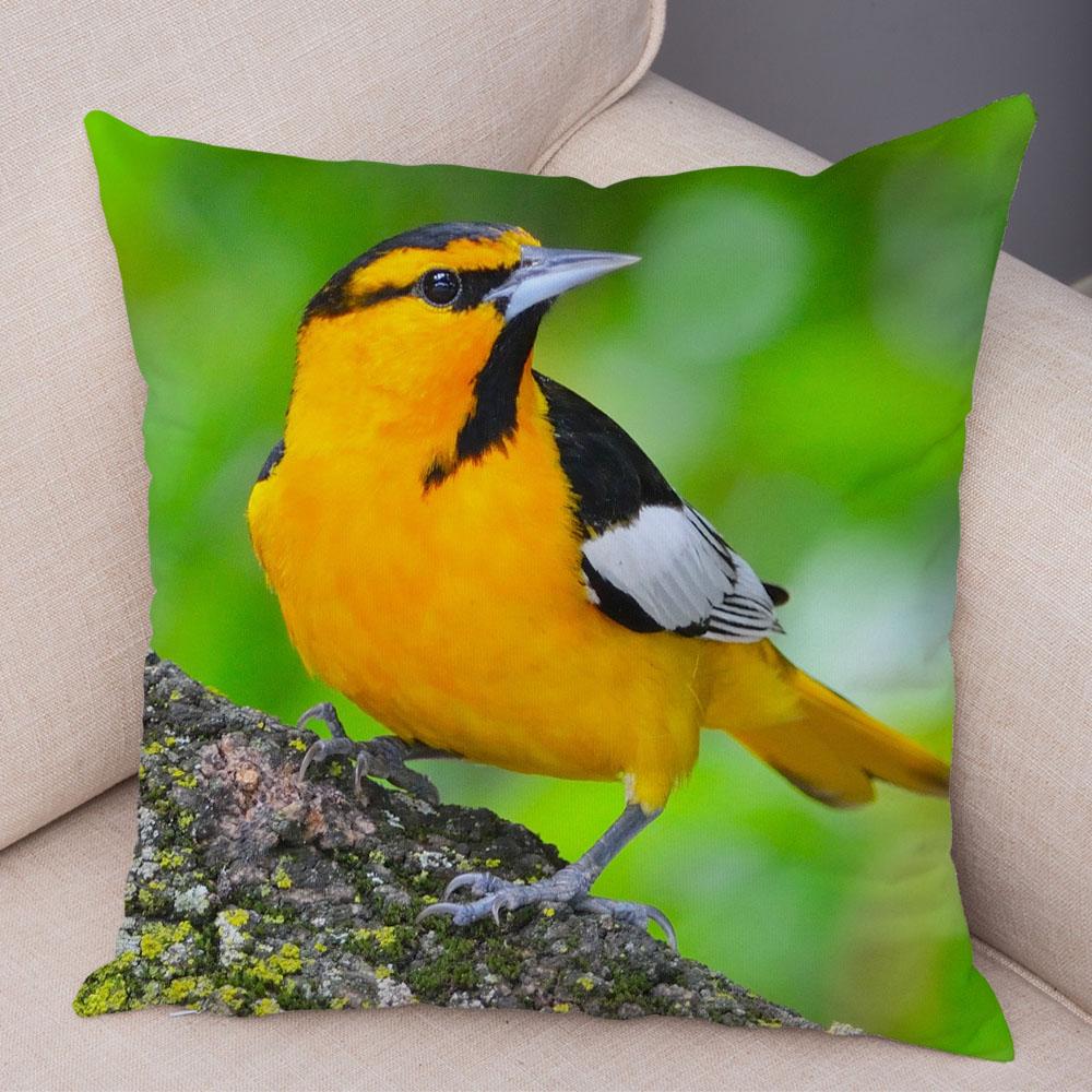 Диван Главная Автомобильная наволочка Красочный цветок птица украшение милый чехол для подушки с дикой природой 40x40cm
Диван Главная Автомобильная наволочка Красочный цветок птица украшение милый чехол для подушки с дикой природой 40x40cm