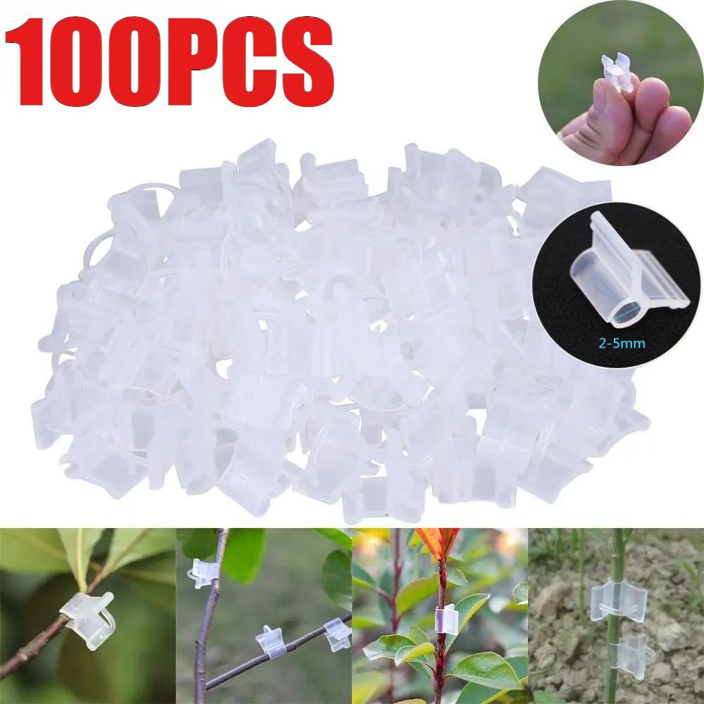 100PCS Plastic Seeding Grafting Clip Tomato Clip Gardening Accessories Grafting Clamp Plant Stand Grafting Tools 4Pcs
100PCS Plastic Seeding Grafting Clip Tomato Clip Gardening Accessories Grafting Clamp Plant Stand Grafting Tools 4Pcs