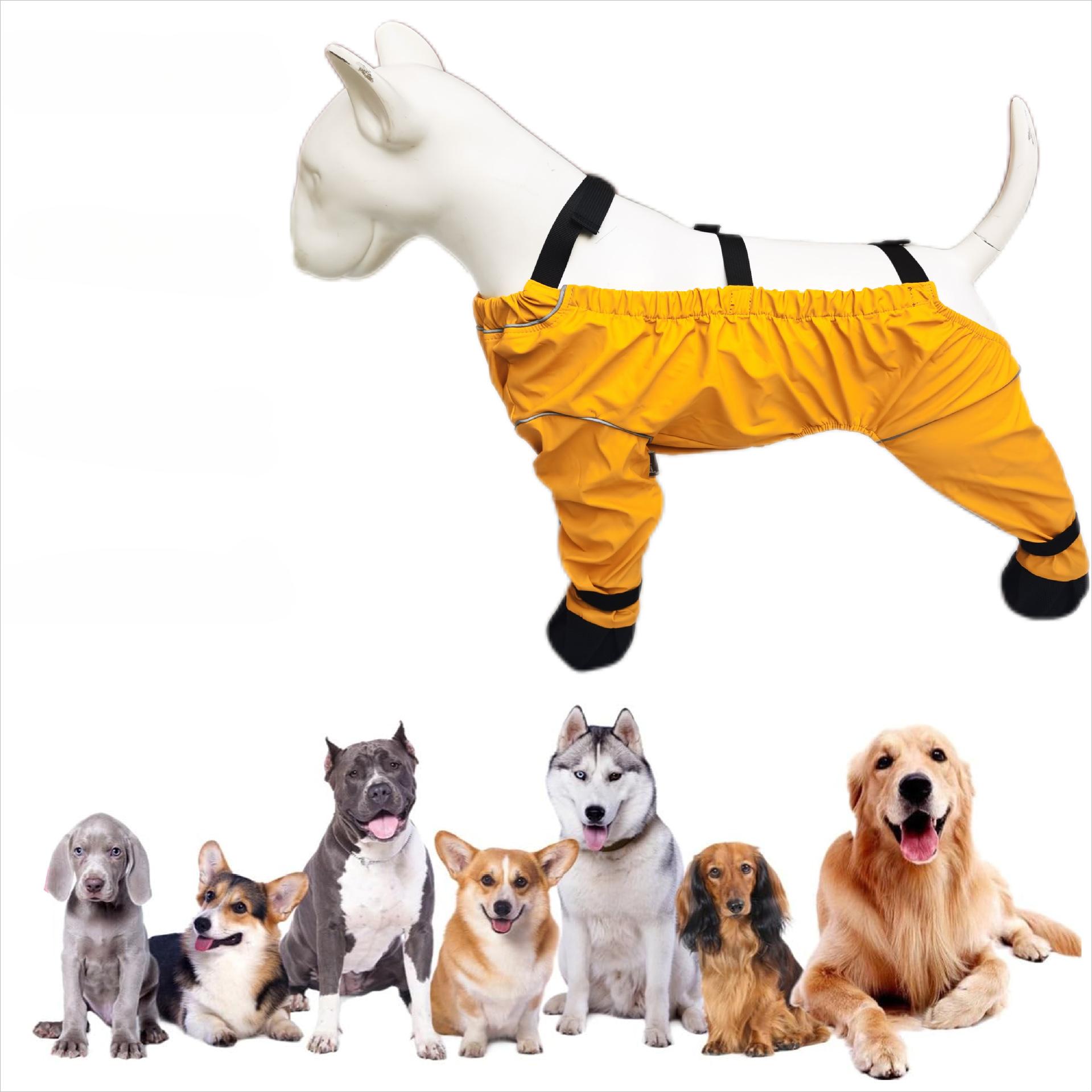 New Anti-dirty Dog Shoes, Dog Belly One-piece Shoes, Dust-proof One-piece Shoes When Going Out XS
New Anti-dirty Dog Shoes, Dog Belly One-piece Shoes, Dust-proof One-piece Shoes When Going Out XS