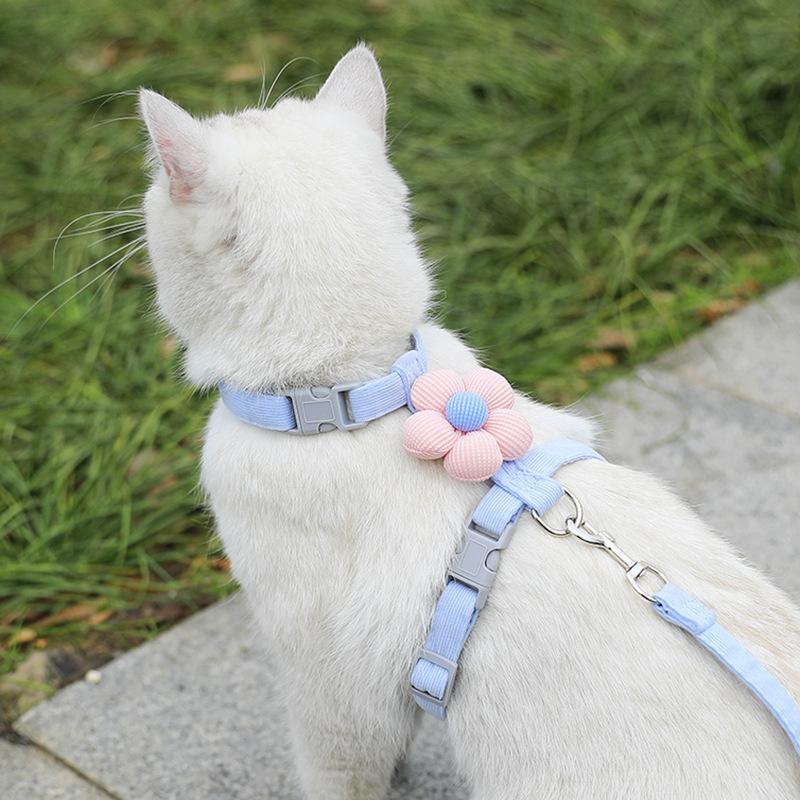 Cute Floral Design Cat Harness With Leash, Comfortable & Lightweight, Escape-Proof Pet Harness Set Blue S різнокольоровий
Cute Floral Design Cat Harness With Leash, Comfortable & Lightweight, Escape-Proof Pet Harness Set Blue S різнокольоровий