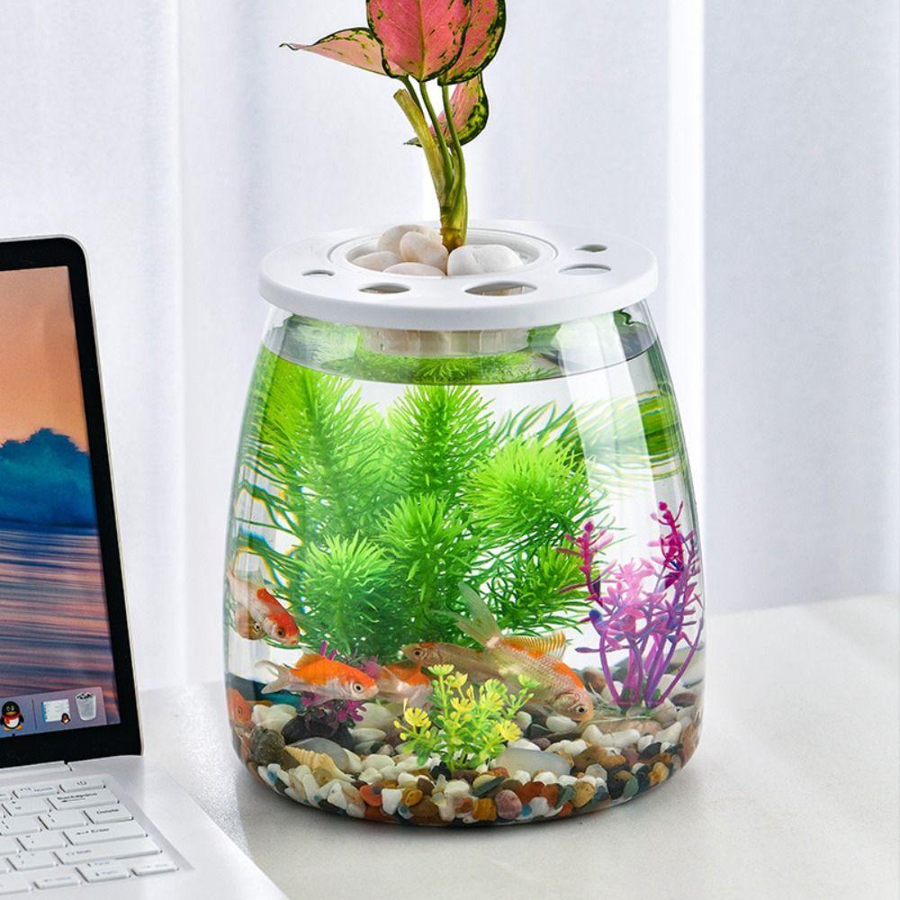 Transparent Small Clear Fish Tank Shatterproof Goldfish Tank Turtle Aquarium Aquarium Setup Style 2
Transparent Small Clear Fish Tank Shatterproof Goldfish Tank Turtle Aquarium Aquarium Setup Style 2