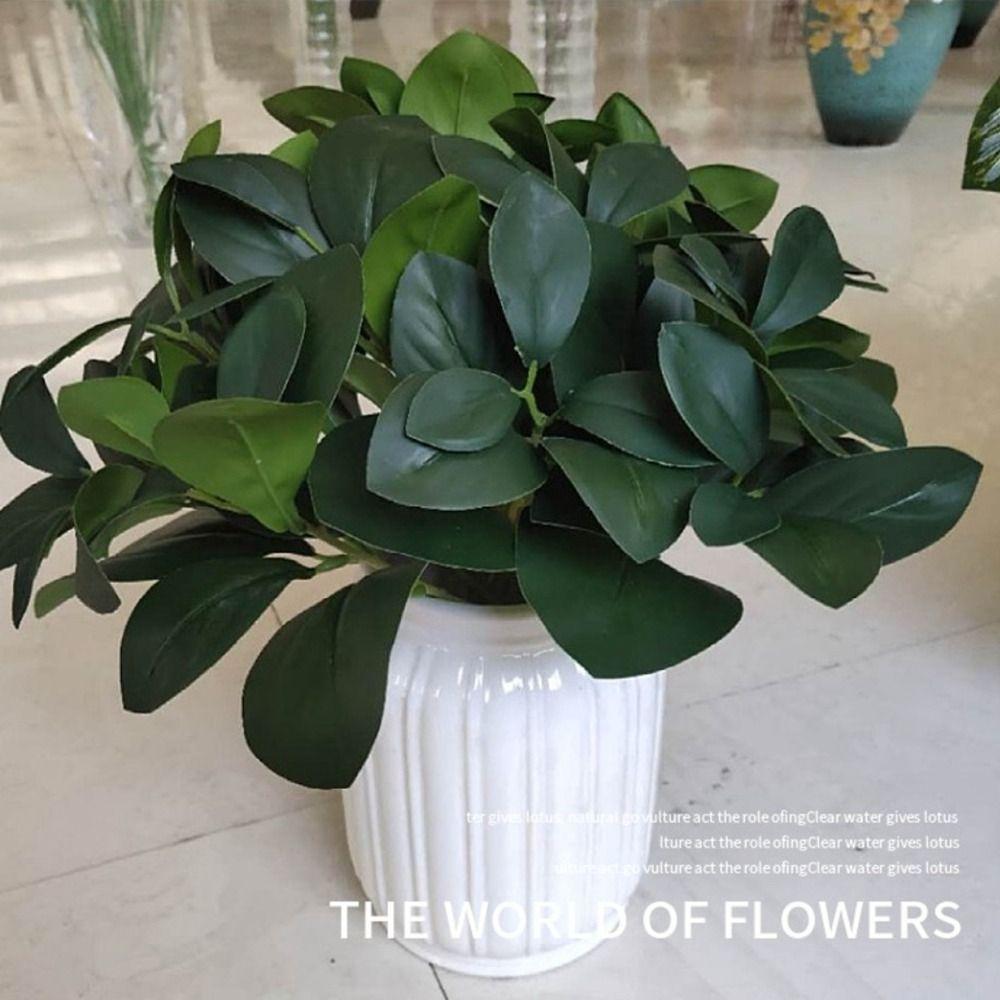 green Artificial Plants Acorn Peperomia Artificial Shrubs Plants Green Plants Outdoor A
green Artificial Plants Acorn Peperomia Artificial Shrubs Plants Green Plants Outdoor A