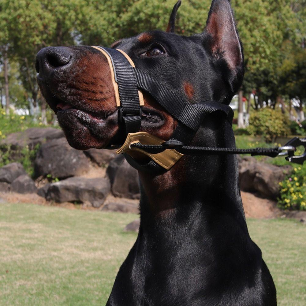 Quick-release Dog Muzzle Anti-biting Dog Mouth Cover Anti Barking Dog Leash For Pet M темно-коричневого кольору
Quick-release Dog Muzzle Anti-biting Dog Mouth Cover Anti Barking Dog Leash For Pet M темно-коричневого кольору
