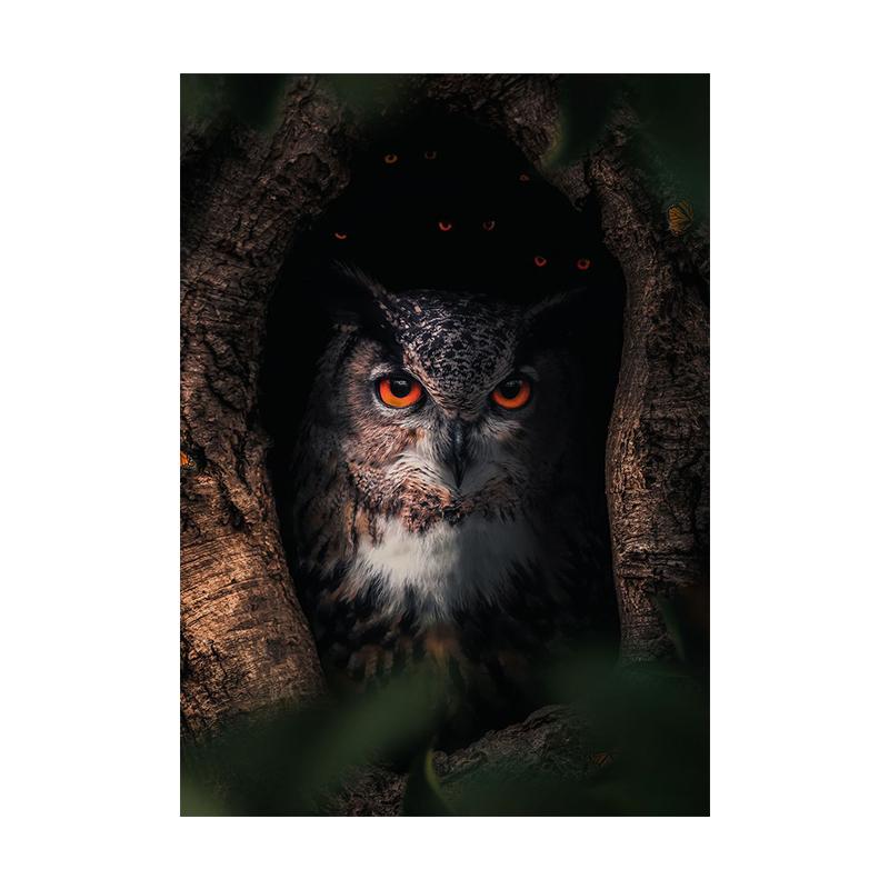 Семейная фотография с изображением совы, печать на холсте, настенный современный художественный постер с изображением животных, дикая жизнь, природа, изображение для офиса, гостиной, домашнего декора, Cuadros 21x30cm No Framed
Семейная фотография с изображением совы, печать на холсте, настенный современный художественный постер с изображением животных, дикая жизнь, природа, изображение для офиса, гостиной, домашнего декора, Cuadros 21x30cm No Framed