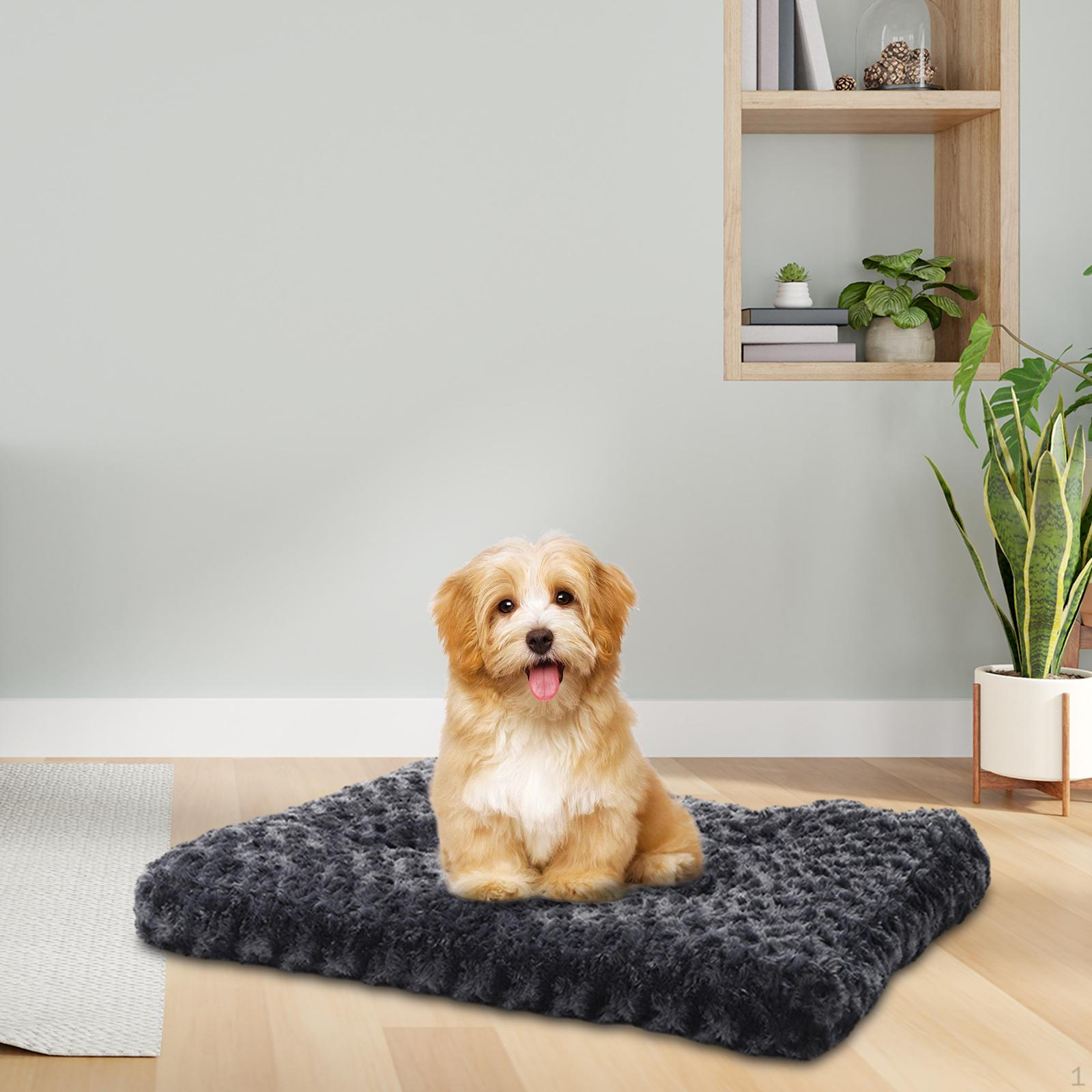 Cotton Pet Bed with Washable Cushion for Small Animals L
Cotton Pet Bed with Washable Cushion for Small Animals L