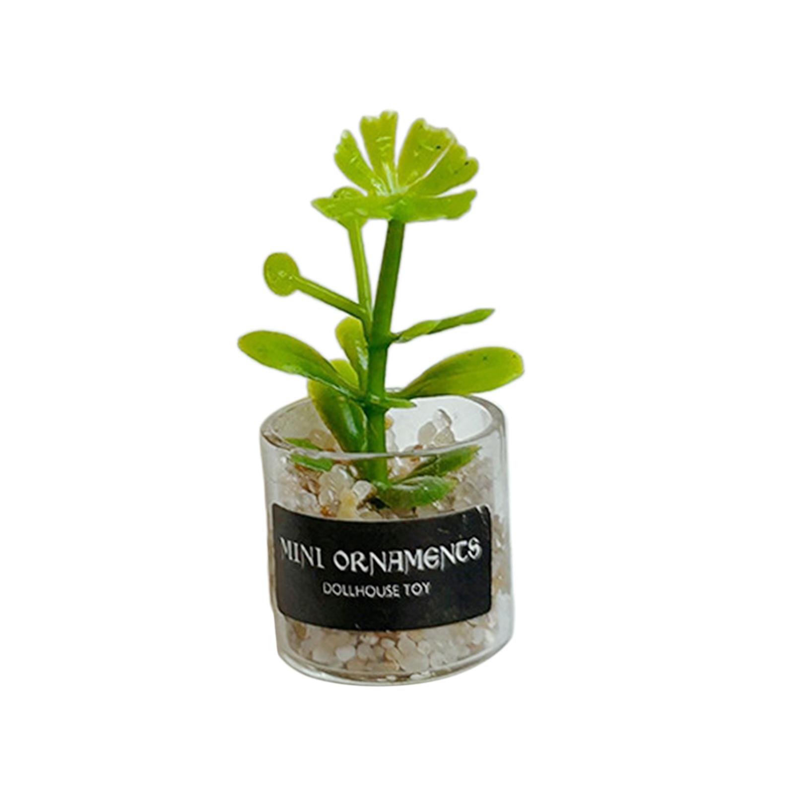 Miniatures Plants Static Scenery Model Miniature Potted Scenery Supplies
Miniatures Plants Static Scenery Model Miniature Potted Scenery Supplies