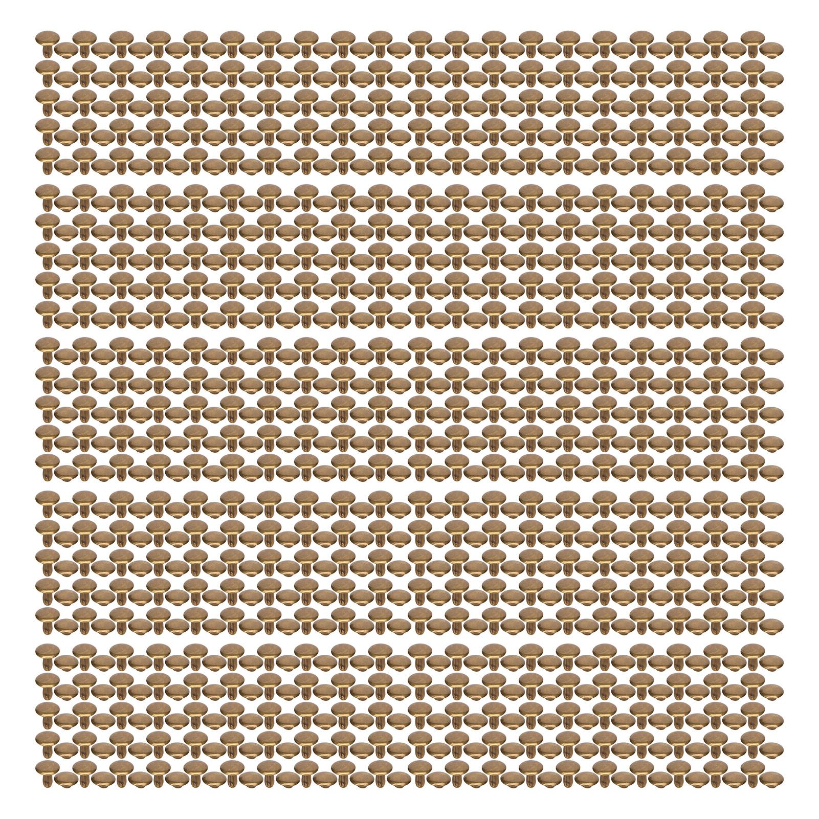 500 Sets Leather Rivets 8x8mm Electroplating Process High Hardness Iron Double Sided Rivets for Hat Clothing
500 Sets Leather Rivets 8x8mm Electroplating Process High Hardness Iron Double Sided Rivets for Hat Clothing