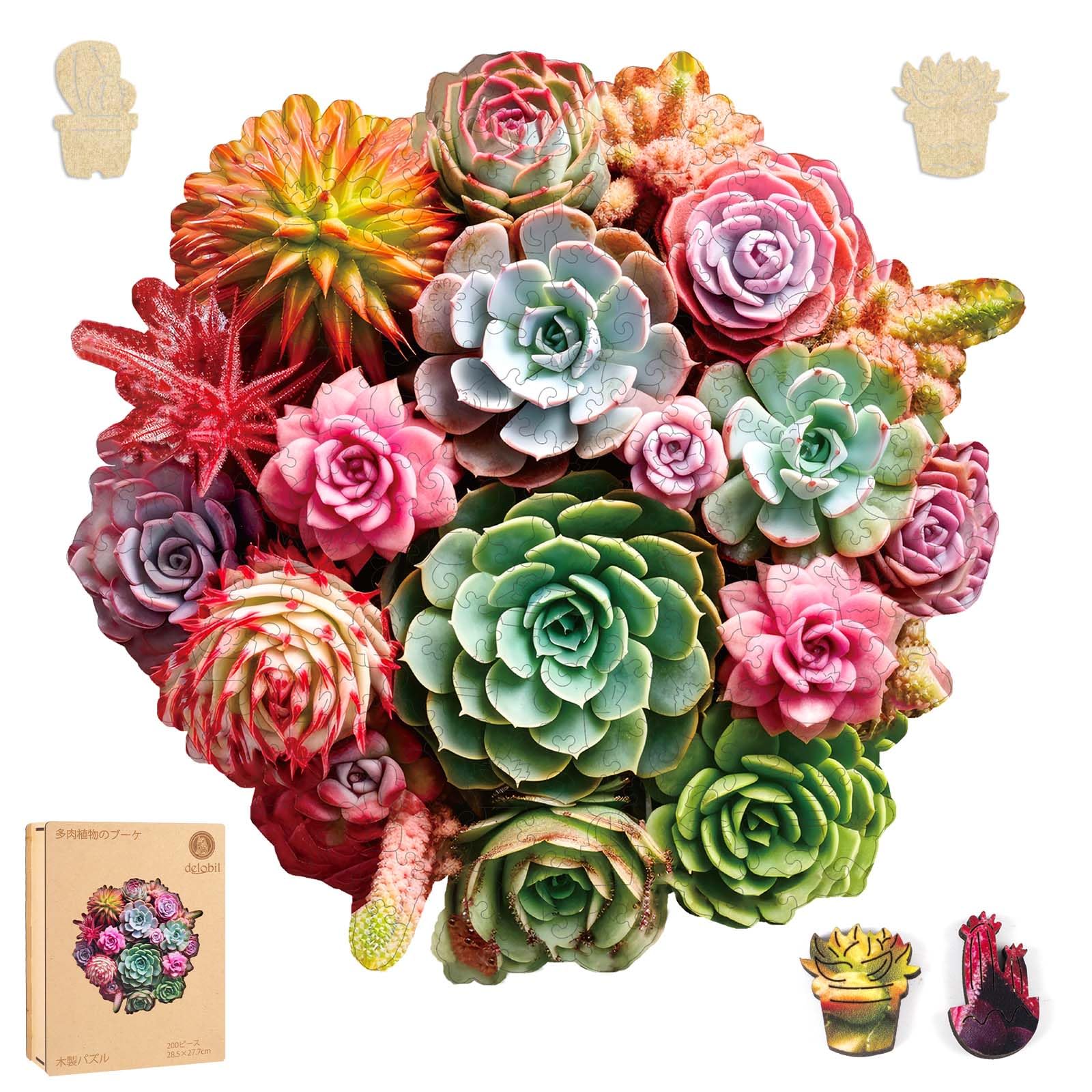 Delobil Jigsaw Succulent 200 Day Uniquely Shaped 5mm Thick No Glue Stylish Interior Wall Includes Transparent Wooden Gift x Puzzle, Plants, Pieces,
Delobil Jigsaw Succulent 200 Day Uniquely Shaped 5mm Thick No Glue Stylish Interior Wall Includes Transparent Wooden Gift x Puzzle, Plants, Pieces,