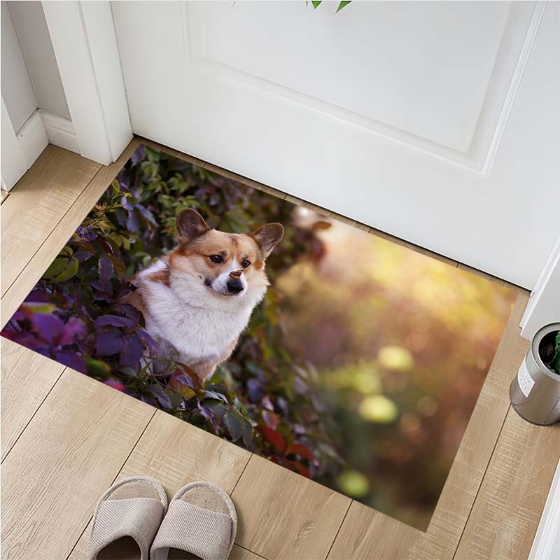 Cute Husky Puppies Doormat, Two Fluffy Dogs Non-Slip Floor Mat for Pet Lover Home Decor 40x60cm( 15x23in )
Cute Husky Puppies Doormat, Two Fluffy Dogs Non-Slip Floor Mat for Pet Lover Home Decor 40x60cm( 15x23in )