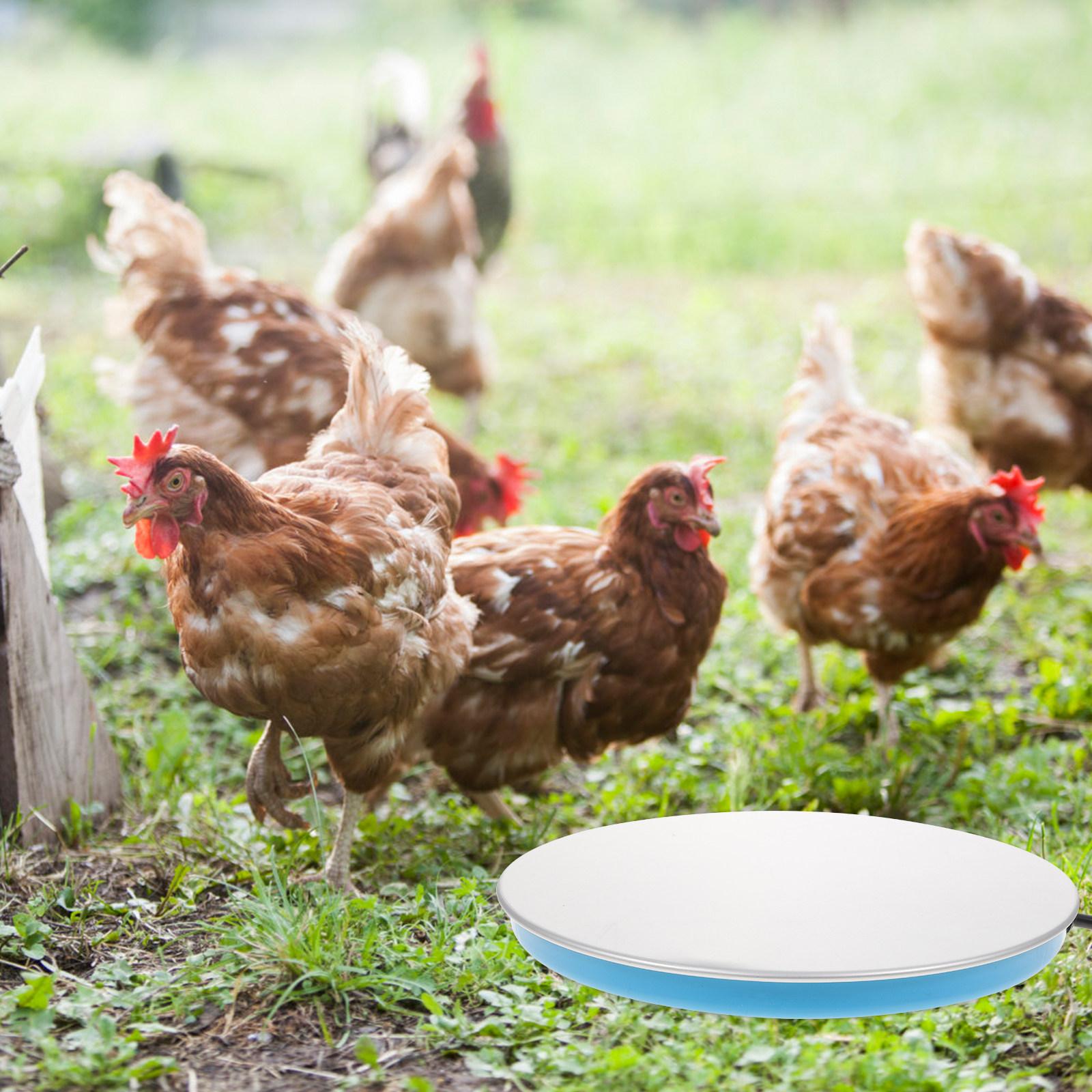Poultry Water Heater Us Plug Heating Base Constant Temperature Warmer for Chicken Pigeon Water Heating Tool Pet Supply China Mainland
Poultry Water Heater Us Plug Heating Base Constant Temperature Warmer for Chicken Pigeon Water Heating Tool Pet Supply China Mainland