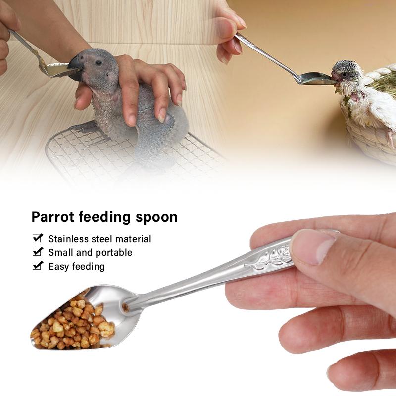 Bird Feeding Spoon Pet Bird Parrot Bird Cage Add Food Spoon Stainless Steel Feede Bird Food Spoon Feeding Bird Supplies
Bird Feeding Spoon Pet Bird Parrot Bird Cage Add Food Spoon Stainless Steel Feede Bird Food Spoon Feeding Bird Supplies
