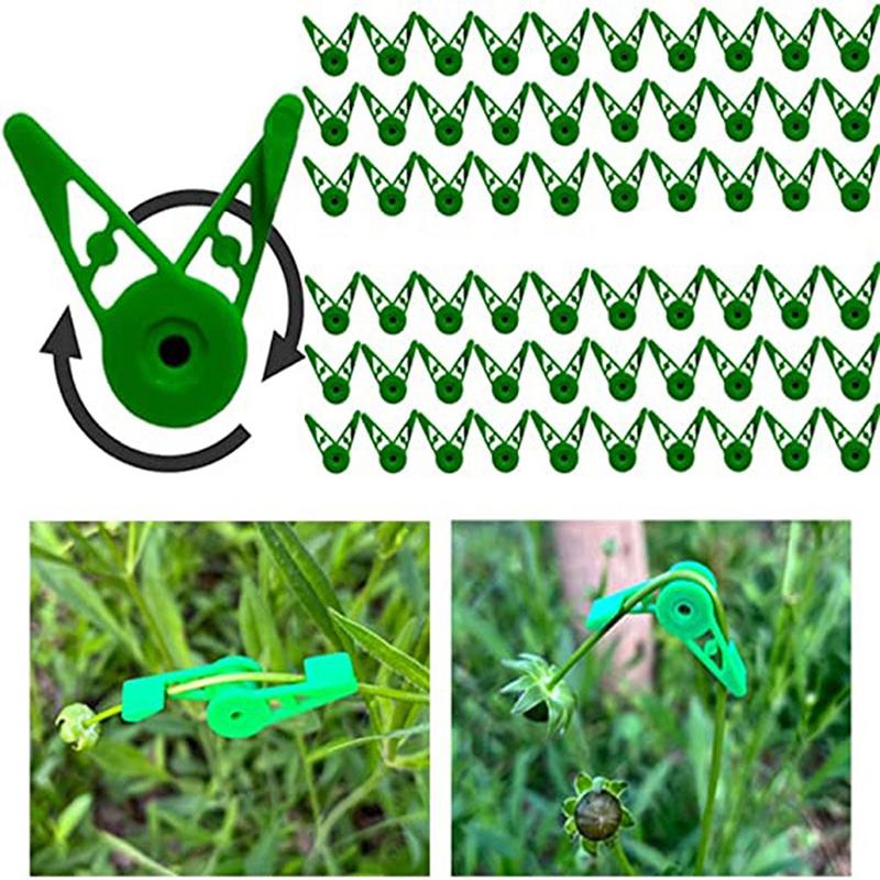 10Pcs Plant Branches Bender Training Clips Stem Trainer Clips 360 Degree Adjustable Planter Holder For Low Stress Training Tool
10Pcs Plant Branches Bender Training Clips Stem Trainer Clips 360 Degree Adjustable Planter Holder For Low Stress Training Tool