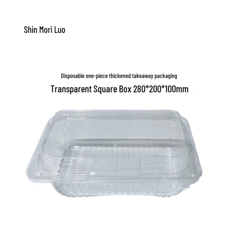 Disposable Transparent Square Takeout Container
Disposable Transparent Square Takeout Container