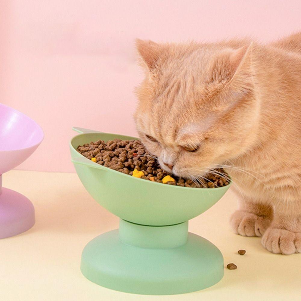 Pet Supplies Elevated Tilted Dog Feeder Bowl Cat Water Bowl Kitten Food Plate Cat Food Bowl
Pet Supplies Elevated Tilted Dog Feeder Bowl Cat Water Bowl Kitten Food Plate Cat Food Bowl