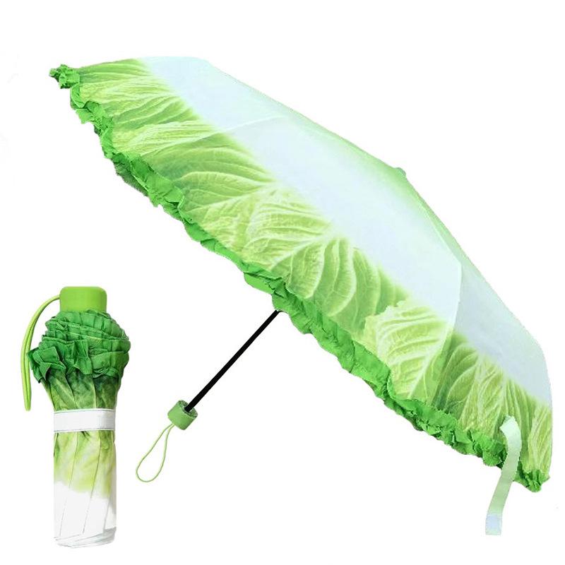 Water-Activated Purple Lettuce & Cabbage Folding Umbrella for Sun and Rain Protection
Water-Activated Purple Lettuce & Cabbage Folding Umbrella for Sun and Rain Protection