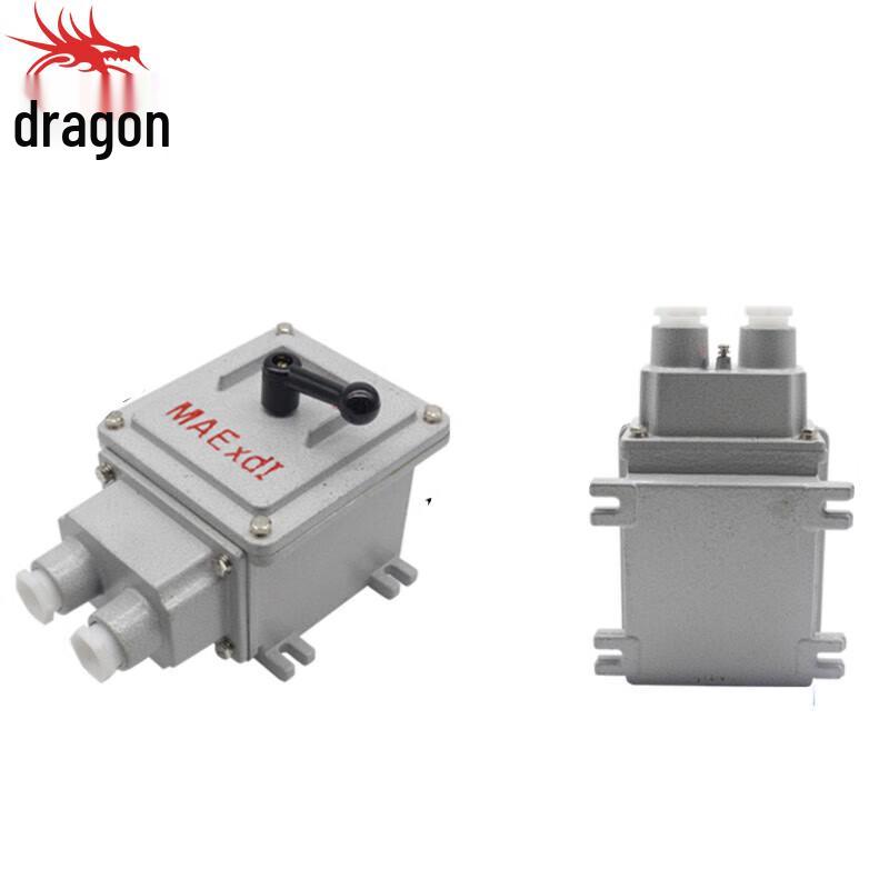 Explosion-Proof Changeover Switch
Explosion-Proof Changeover Switch