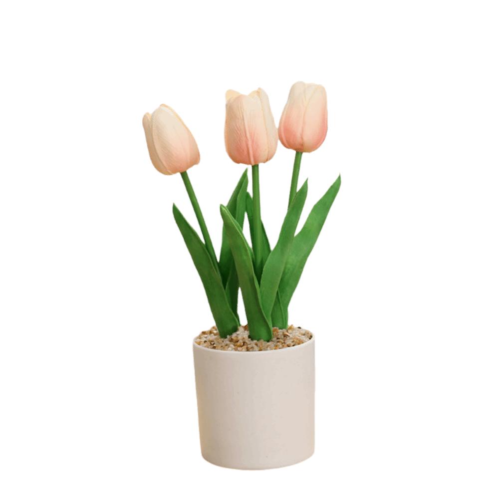 Рослина Шовкові Тюльпани Квітка Бонсай Штучна Декорація Квіти Тюльпани Горщик Офіс Кімната Дім
Рослина Шовкові Тюльпани Квітка Бонсай Штучна Декорація Квіти Тюльпани Горщик Офіс Кімната Дім