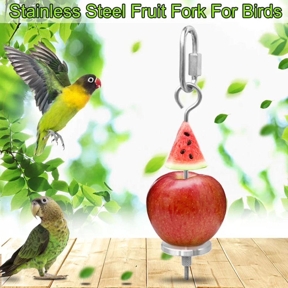 2Pcs Rust-proof Bird Cage Food Holder Bird Foraging Toys For Macaw Parakeet Parrot Budgie 17.5cm-Style A
2Pcs Rust-proof Bird Cage Food Holder Bird Foraging Toys For Macaw Parakeet Parrot Budgie 17.5cm-Style A