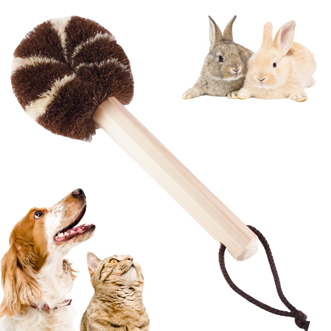 ZEN Pet Brown Изготовлено из натурального пальмового сизаля для удаления блох Натуральный стресс Кролик Не восстанавливается Совместимо с и ковровым покрытием Изготовлено вручную в Японии коричневый
ZEN Pet Brown Изготовлено из натурального пальмового сизаля для удаления блох Натуральный стресс Кролик Не восстанавливается Совместимо с и ковровым покрытием Изготовлено вручную в Японии коричневый